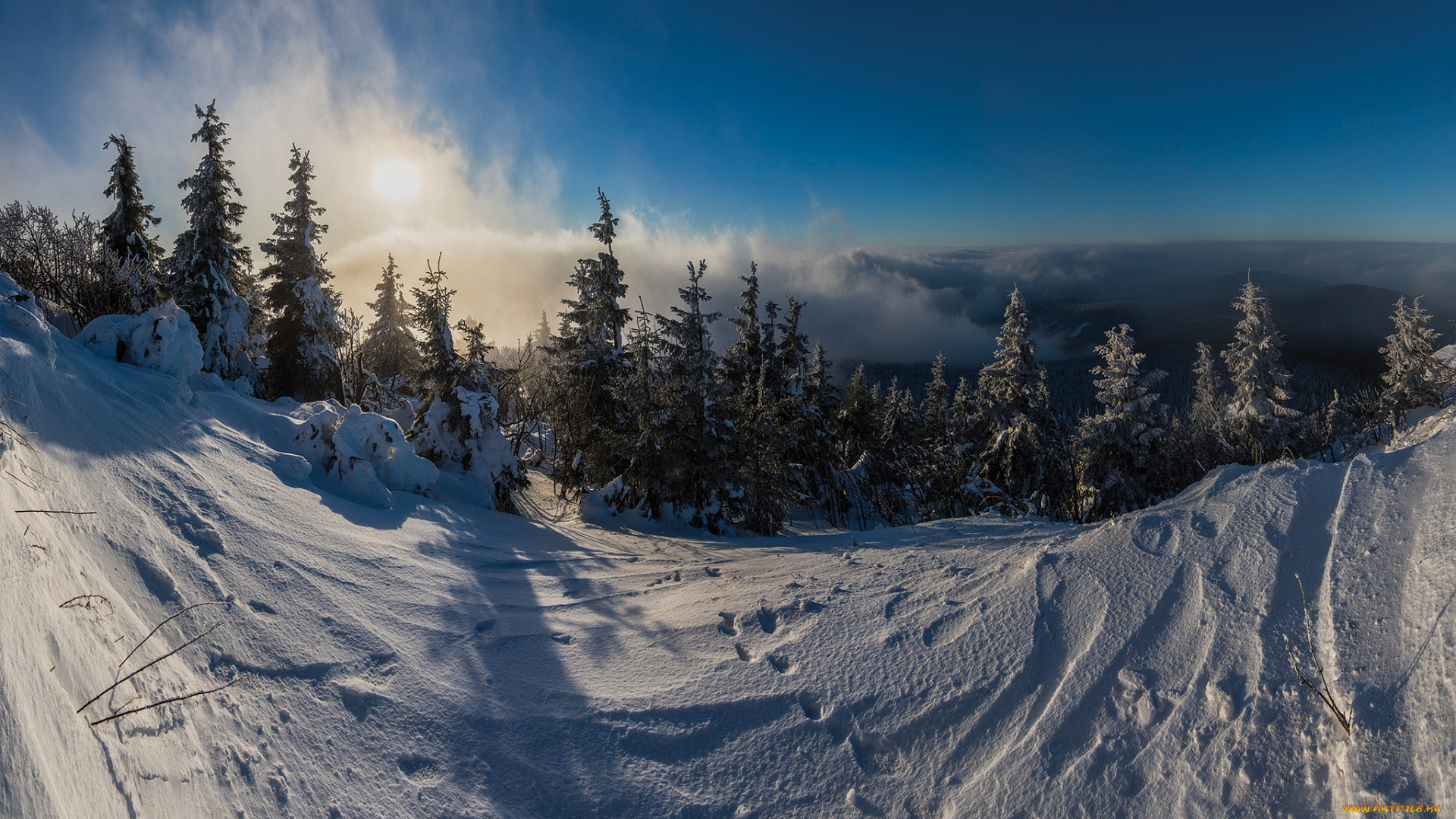 природа, зима, снег