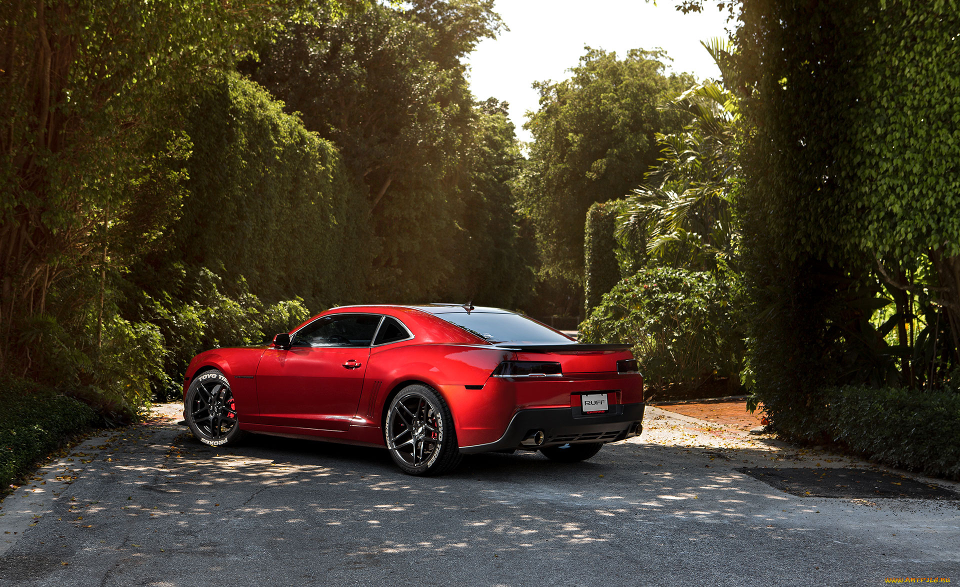 автомобили, camaro