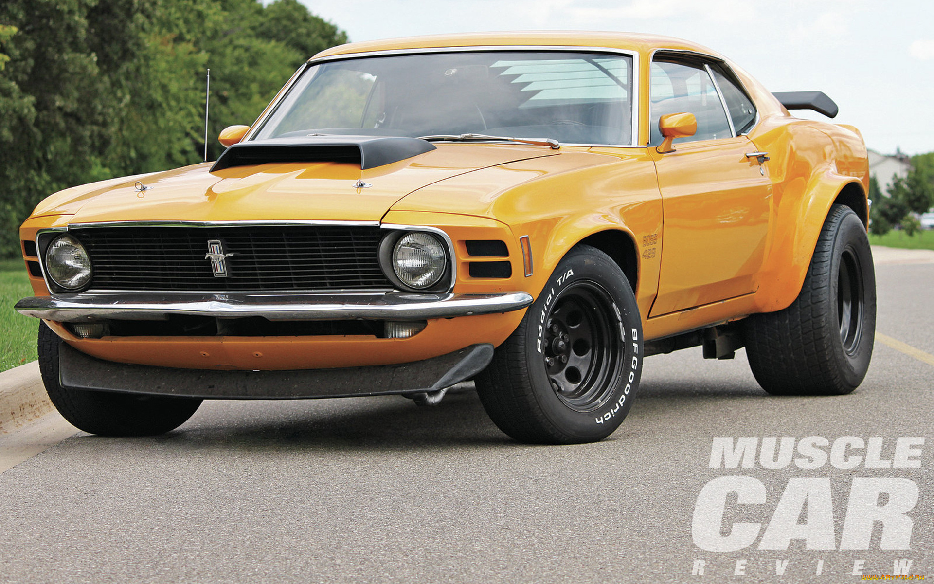 автомобили, mustang