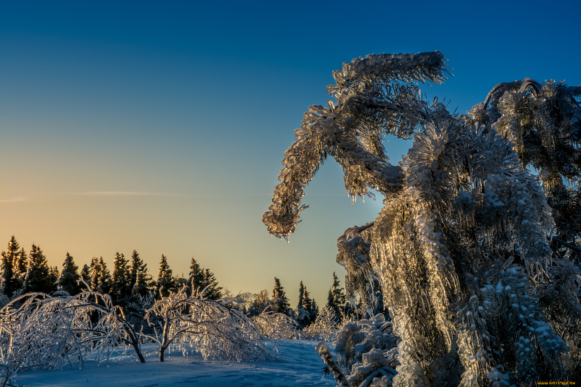 природа, зима, снег