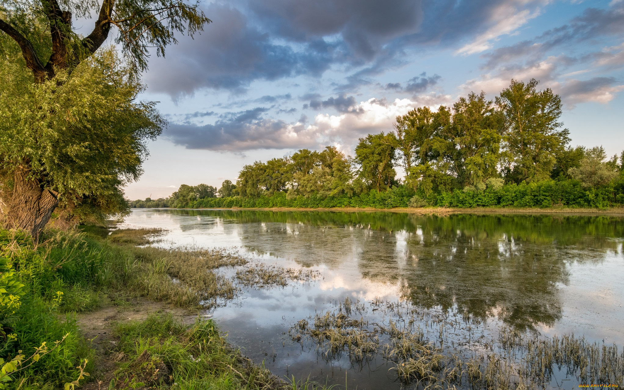 природа, реки, озера, лес, река