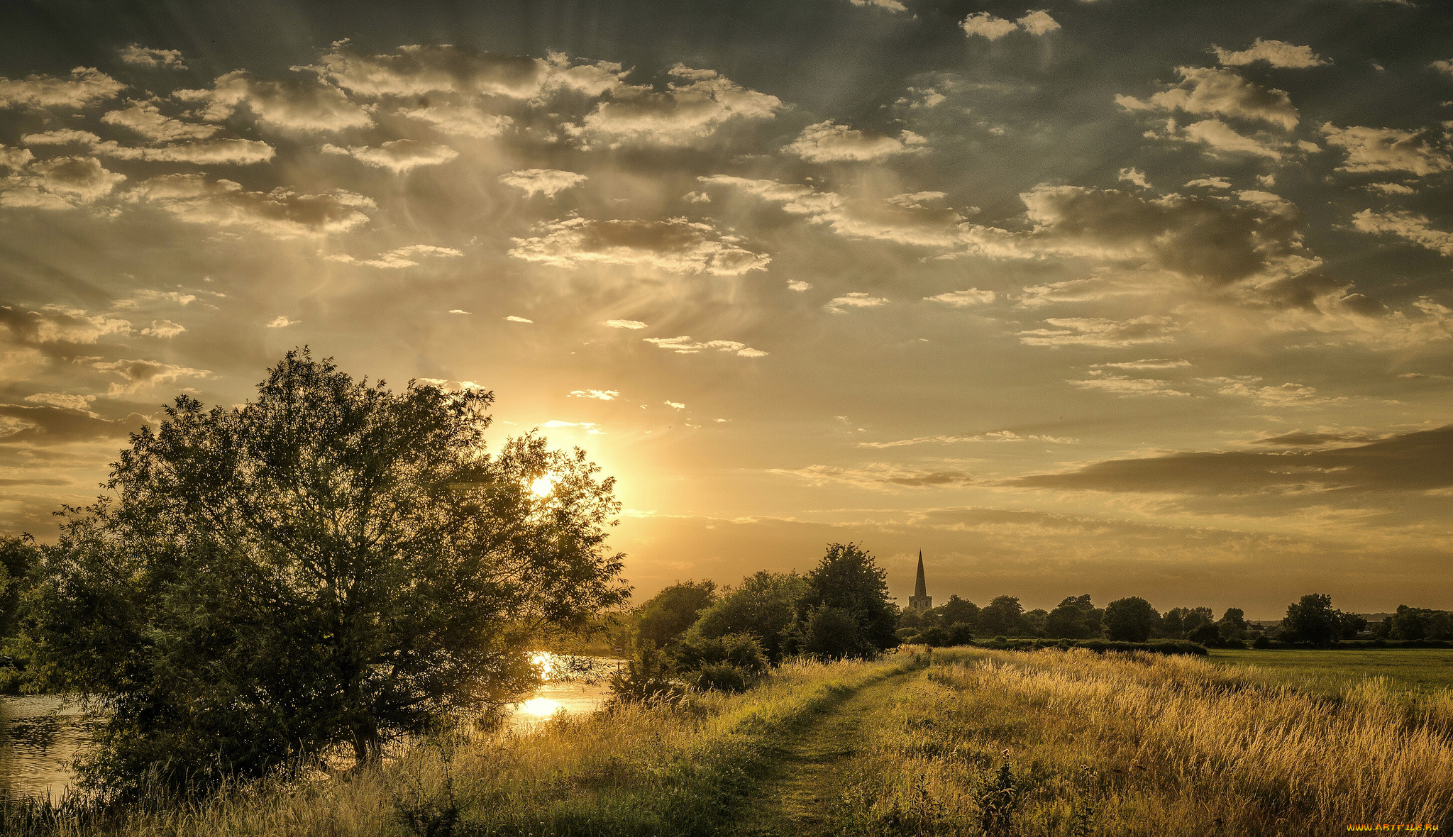 природа, реки, озера, река, лес