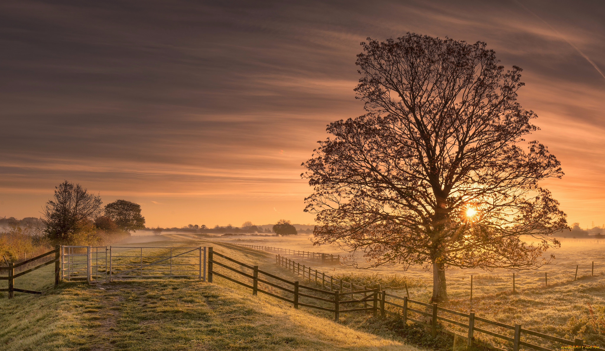 природа, дороги, тракт