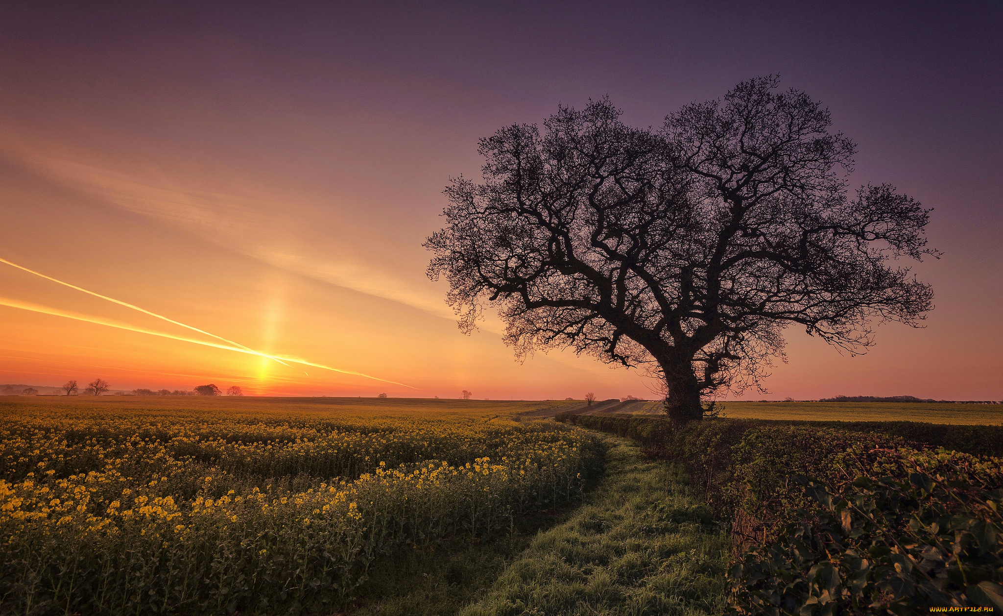 природа, восходы, закаты, рассвет