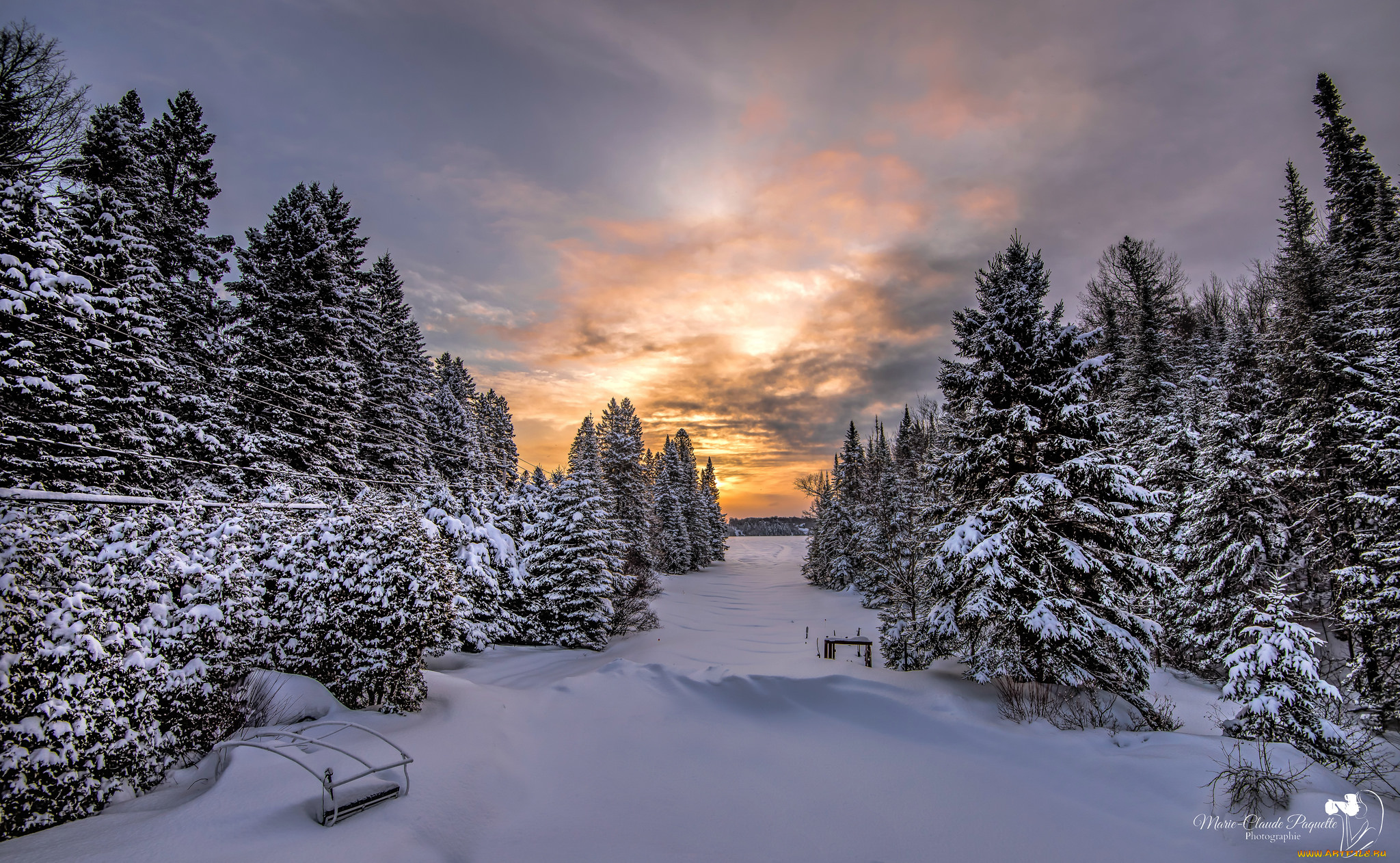 природа, зима, снег