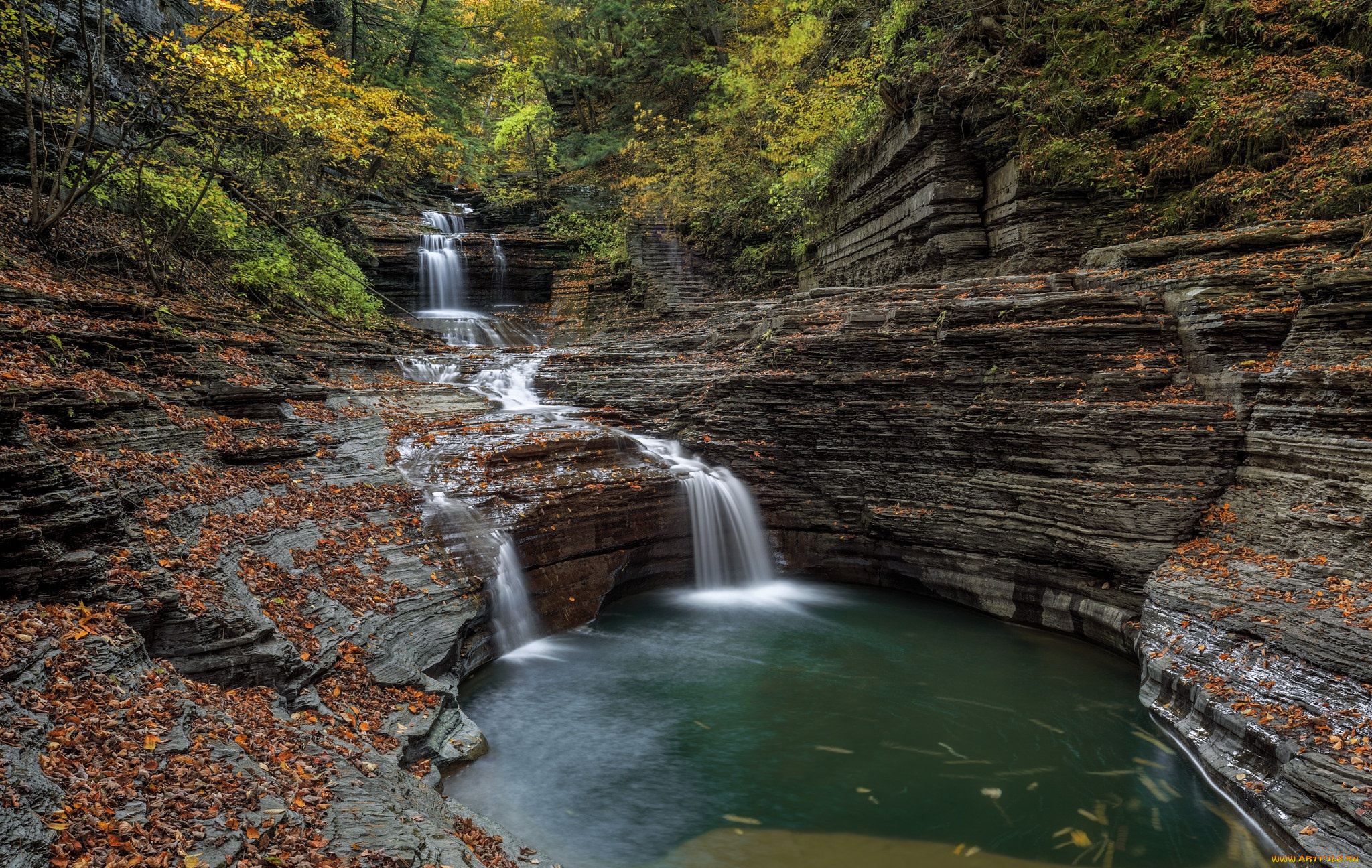 природа, водопады, река, водопад, лес