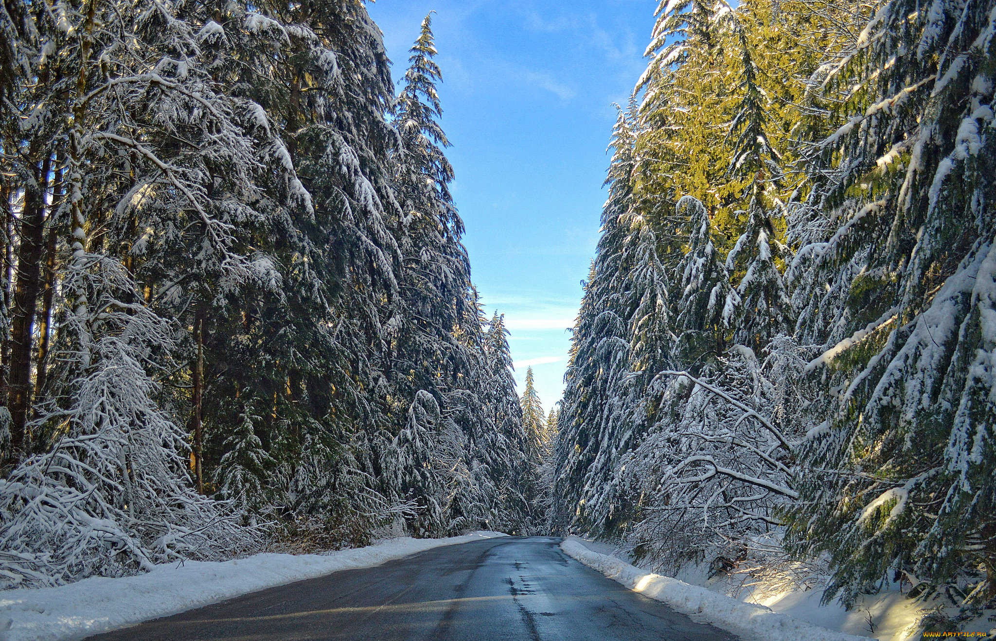 природа, дороги, тракт