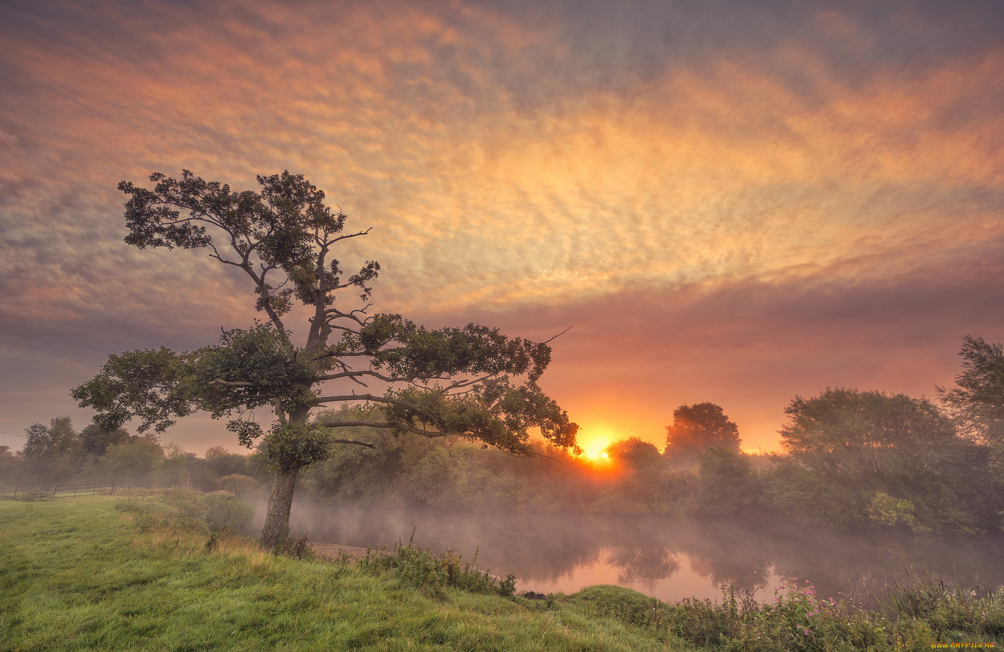 природа, восходы, закаты, рассвет