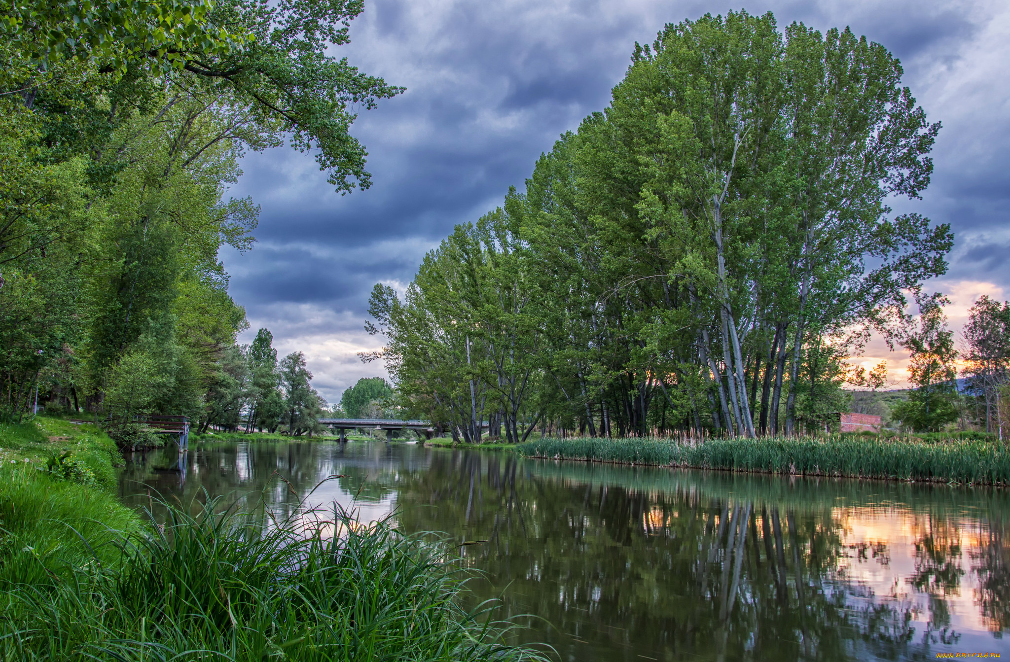 природа, реки, озера, лес, река