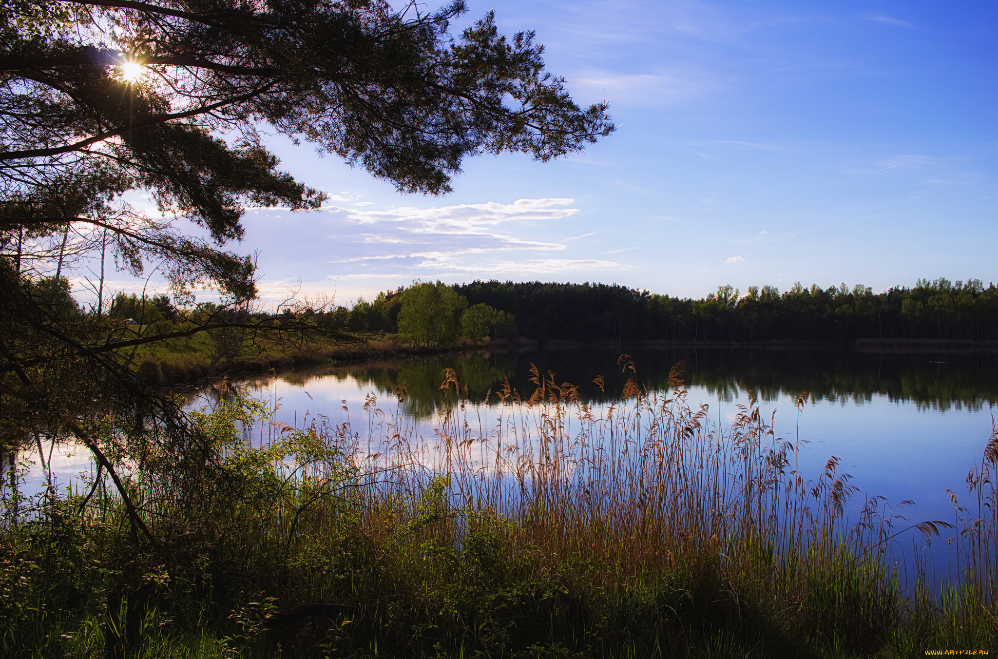 природа, реки, озера, река, лес