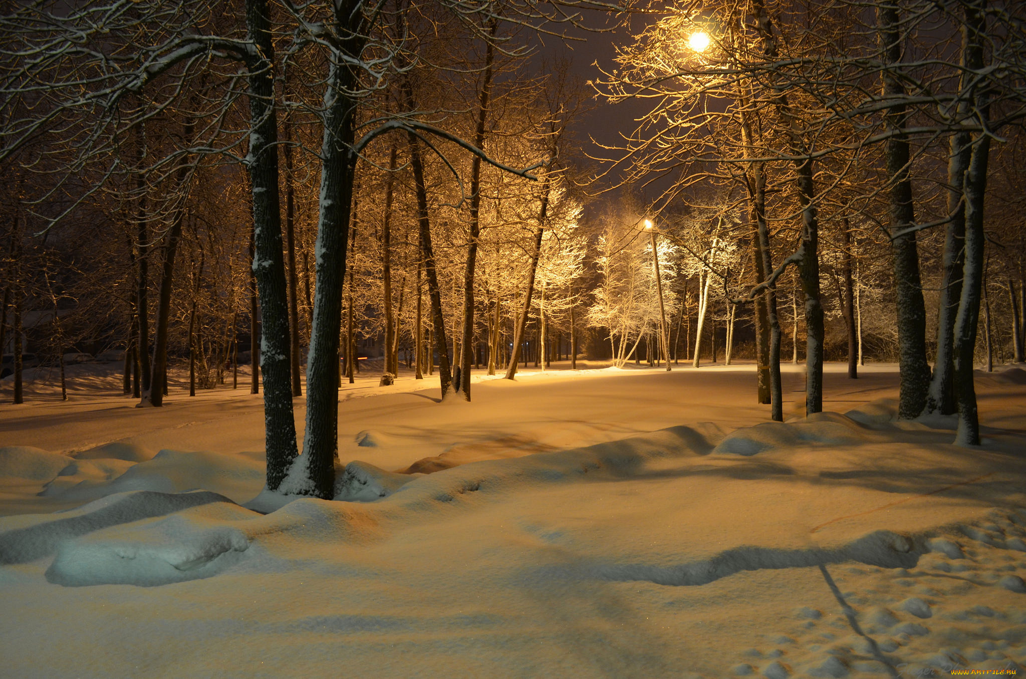 природа, зима, снег