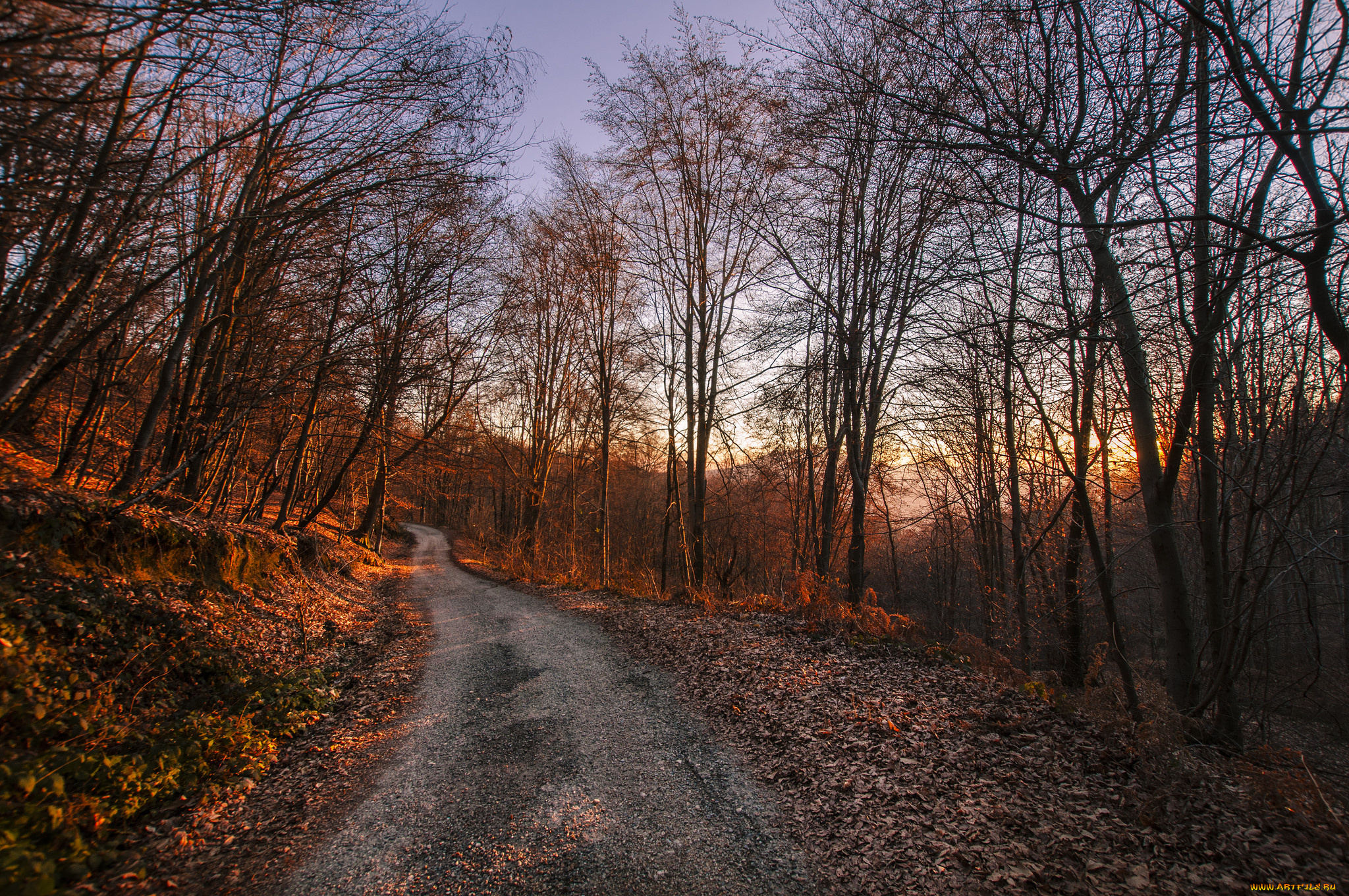 природа, дороги, тракт