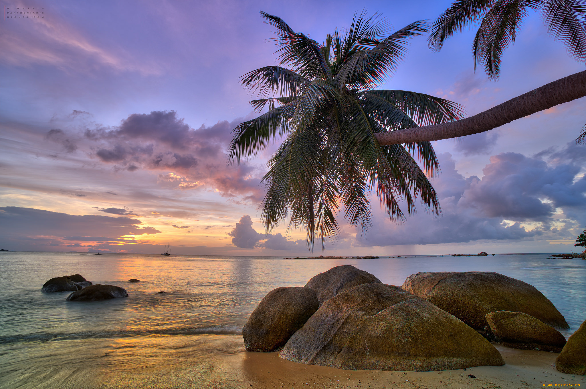 природа, тропики, курорт