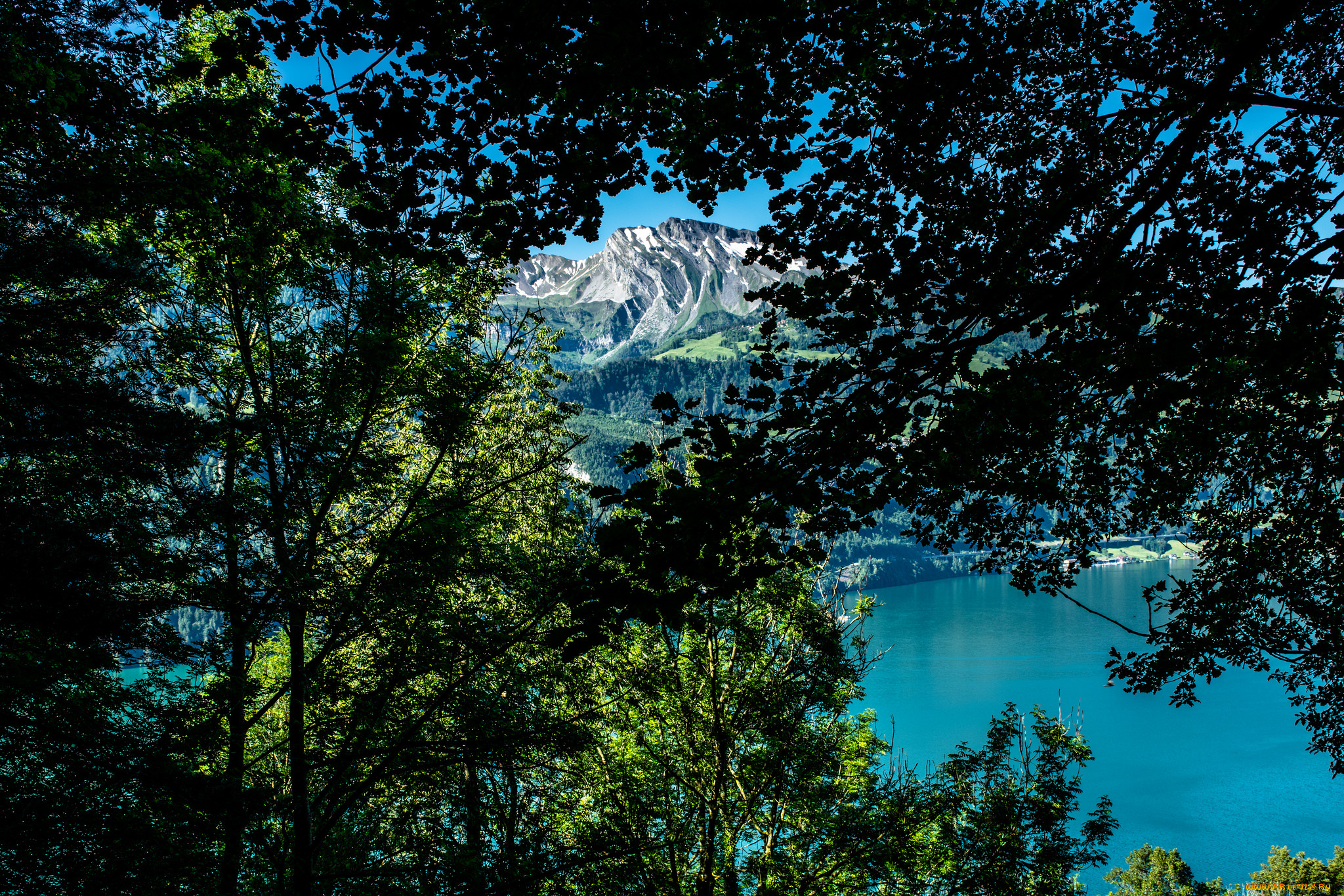 природа, побережье, берег, море