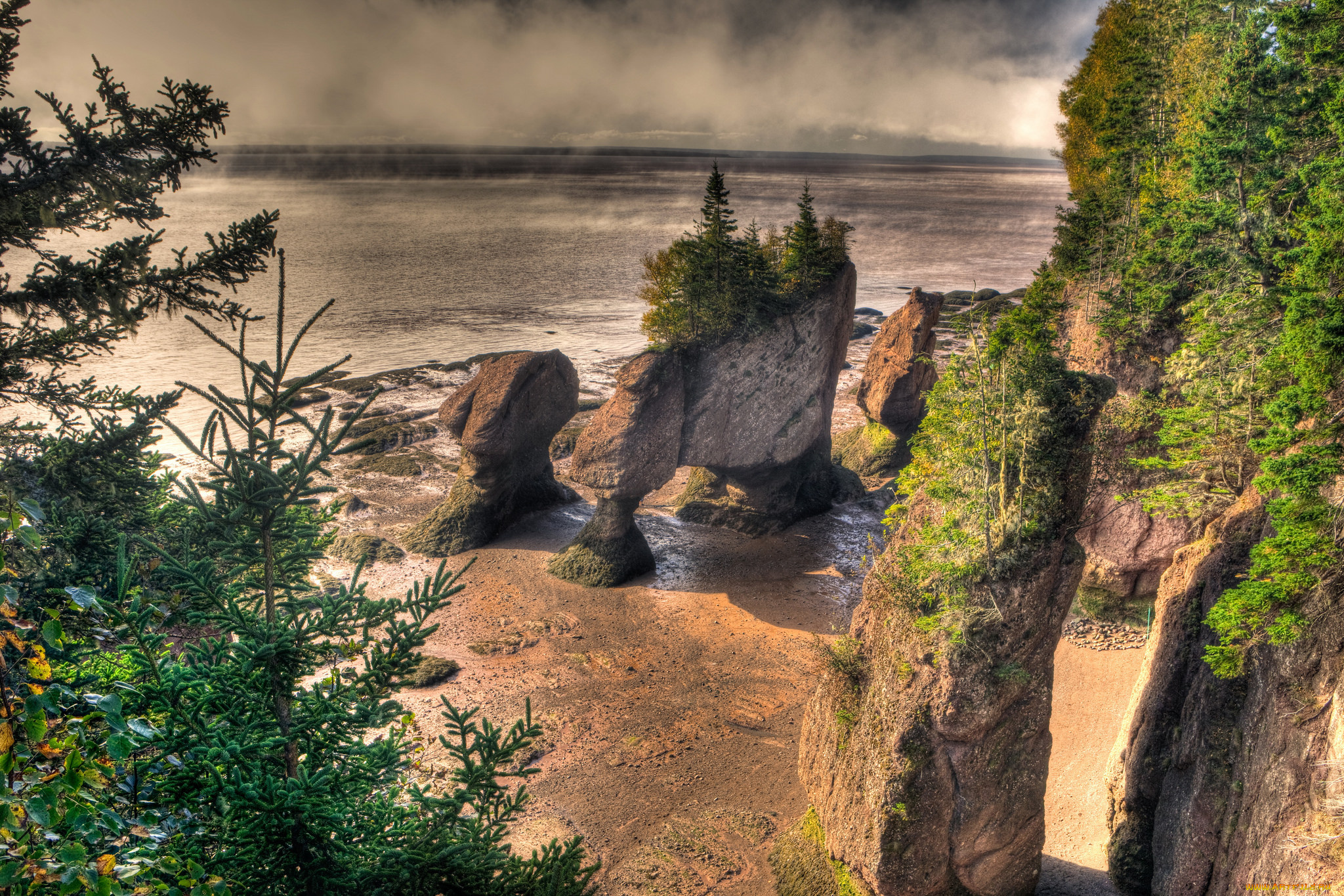 природа, побережье, берег, море