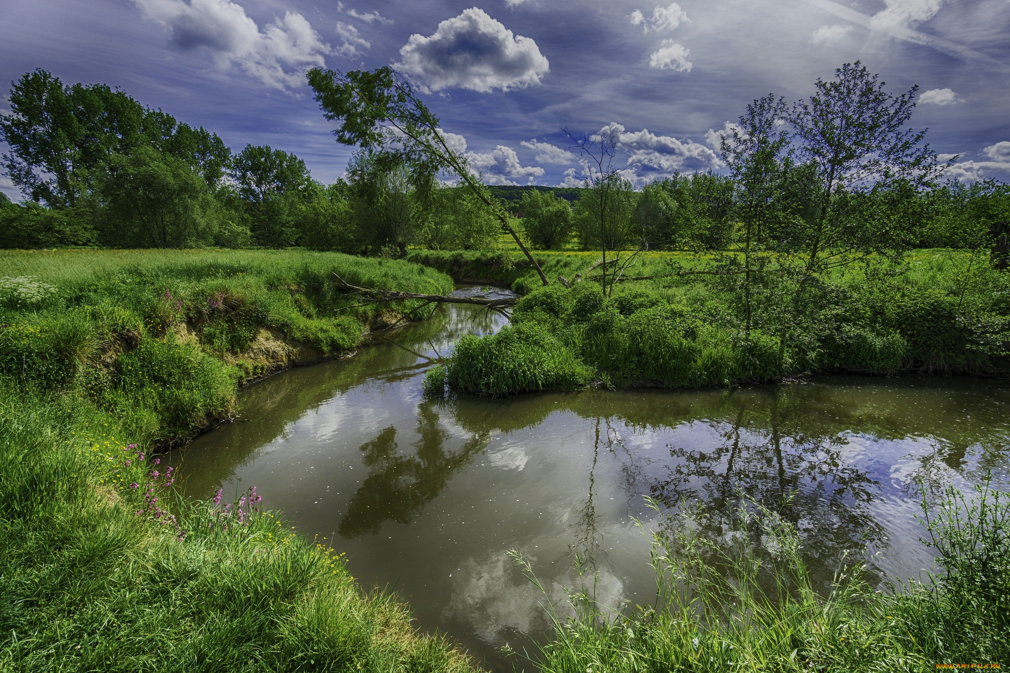 природа, реки, озера, река, лес