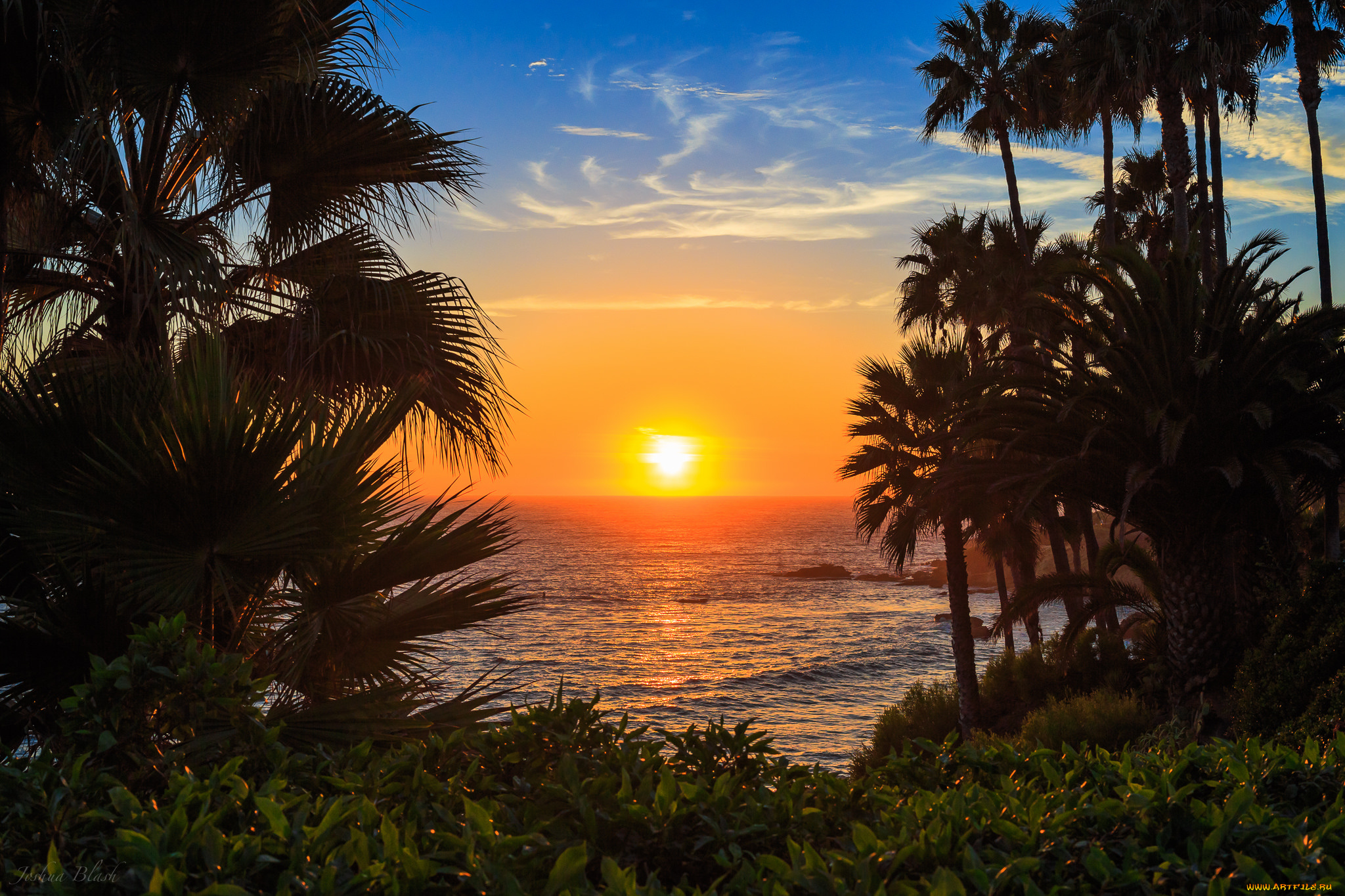 природа, тропики, курорт