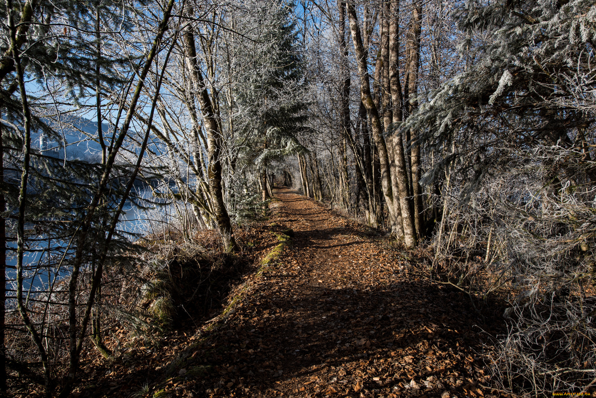 природа, дороги, тракт