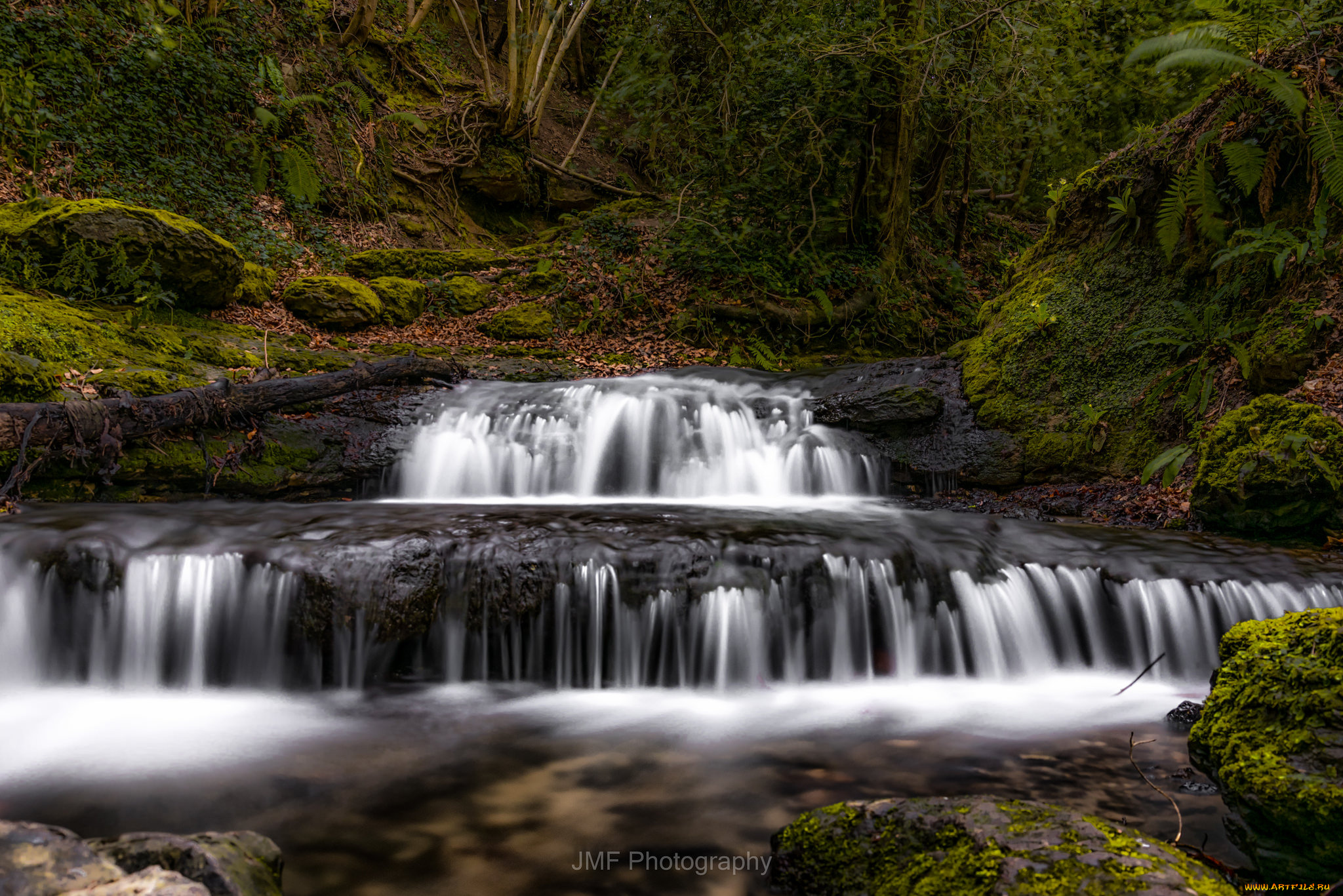 природа, водопады, водопад, река, лес