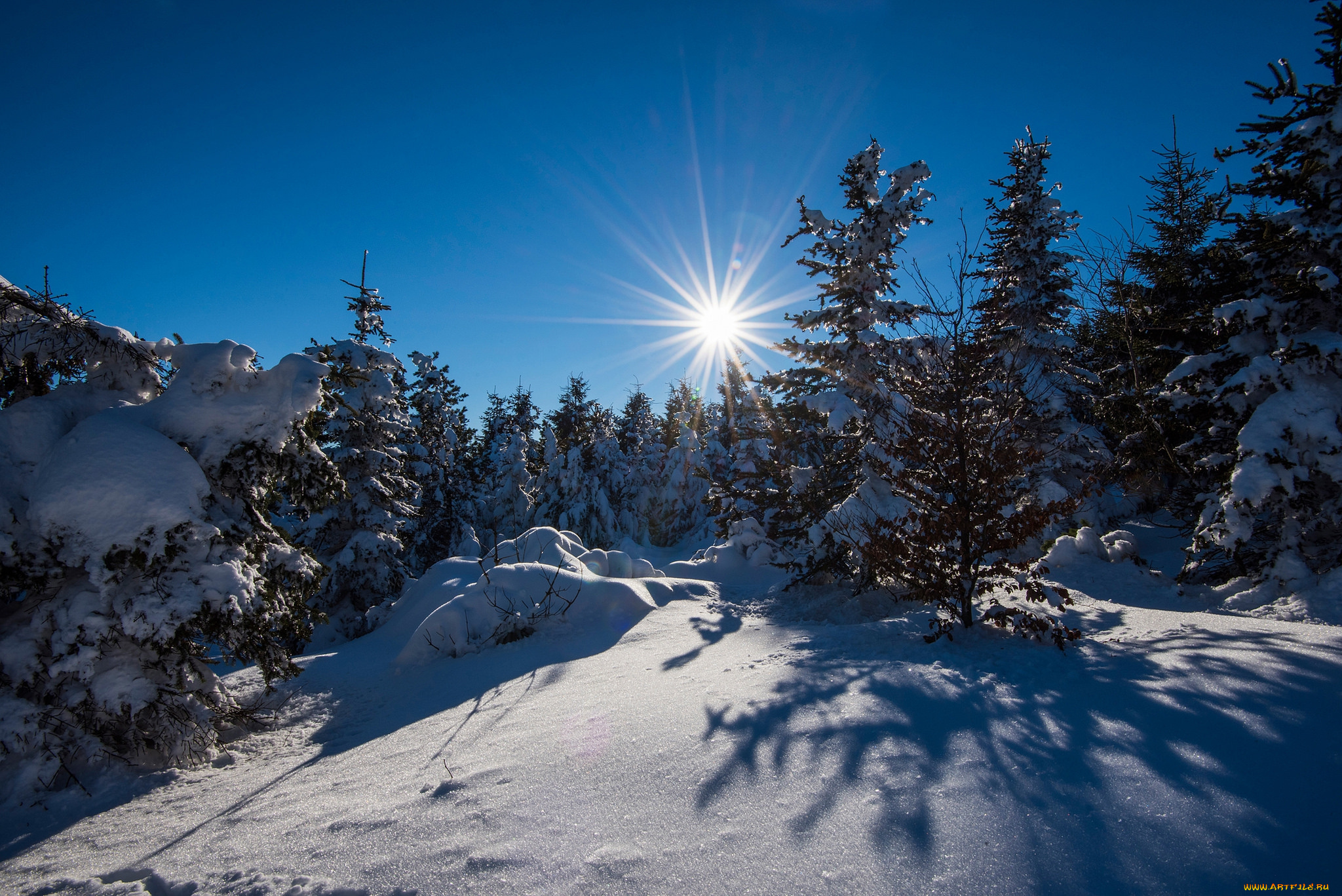 природа, зима, снег