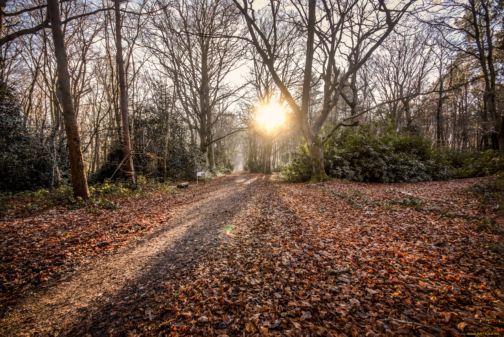 природа, дороги, простор