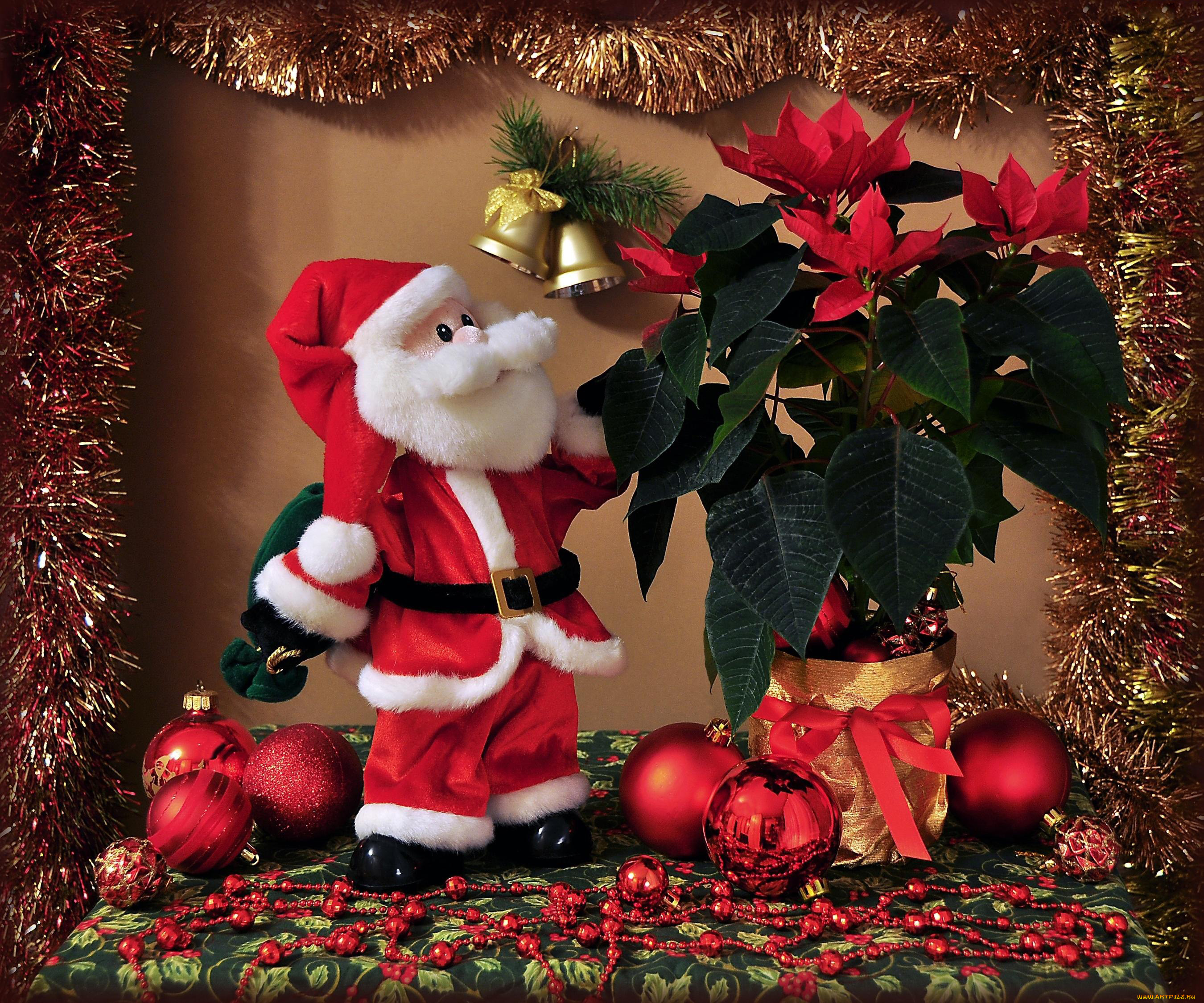 праздничные, дед, мороз, , санта, клаус, мишура, клаус, пуансеттия, санта, шарики