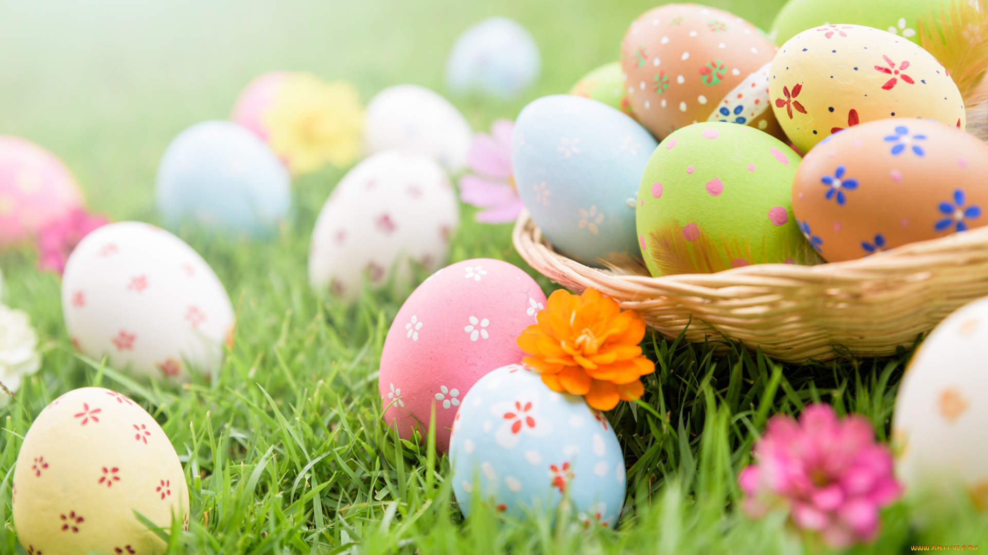 праздничные, пасха, фон, яйца