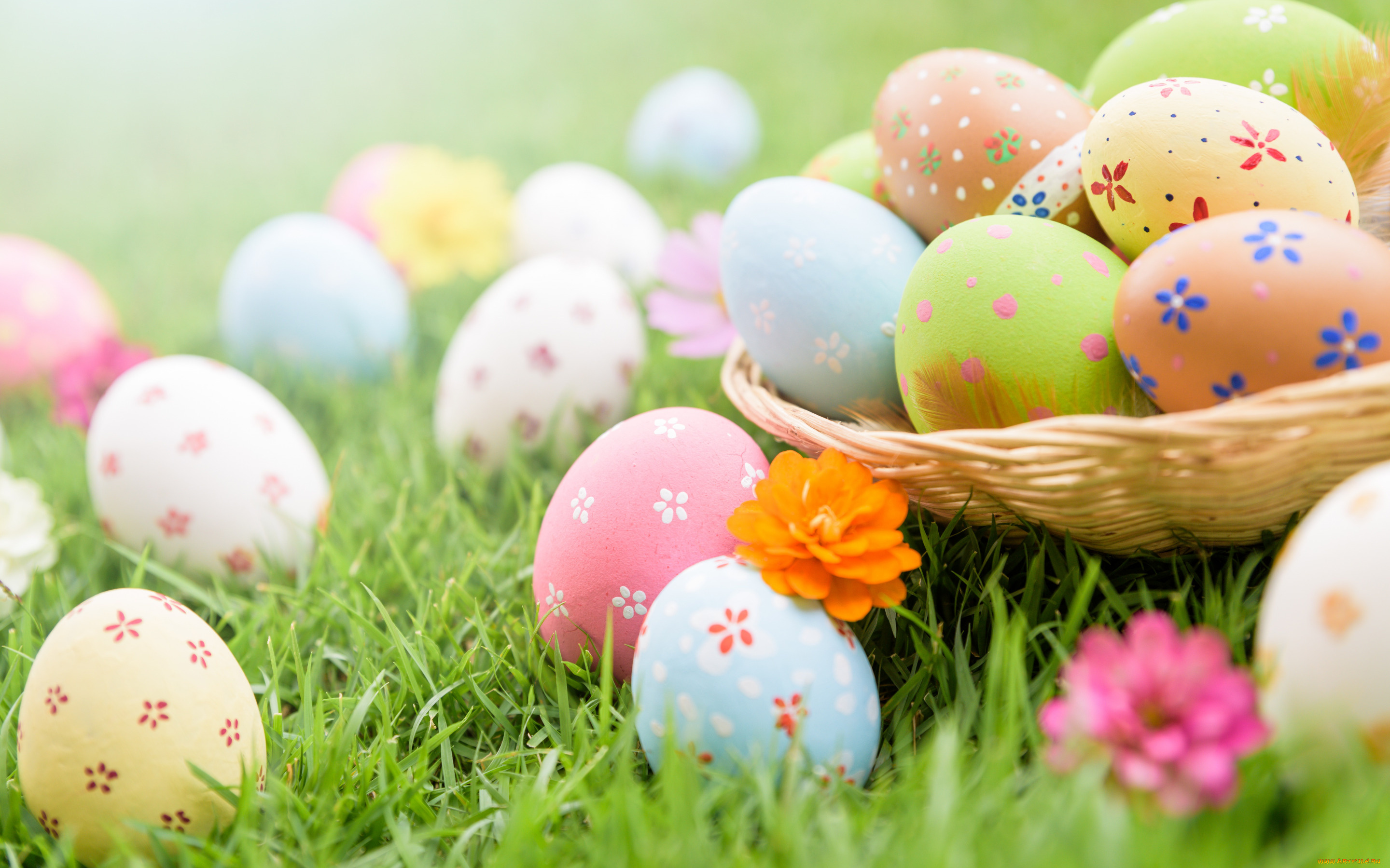 праздничные, пасха, фон, яйца