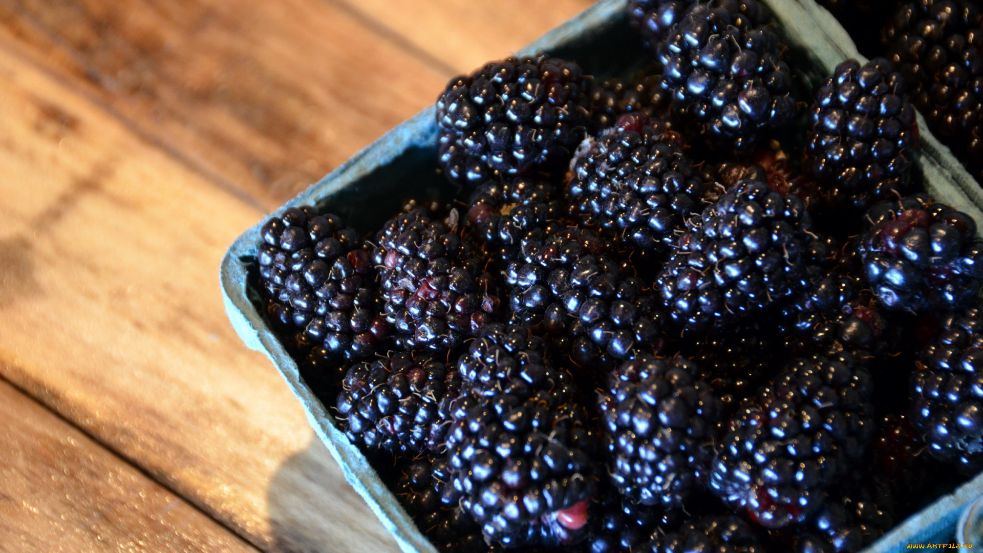 еда, ежевика, ягоды, спелая