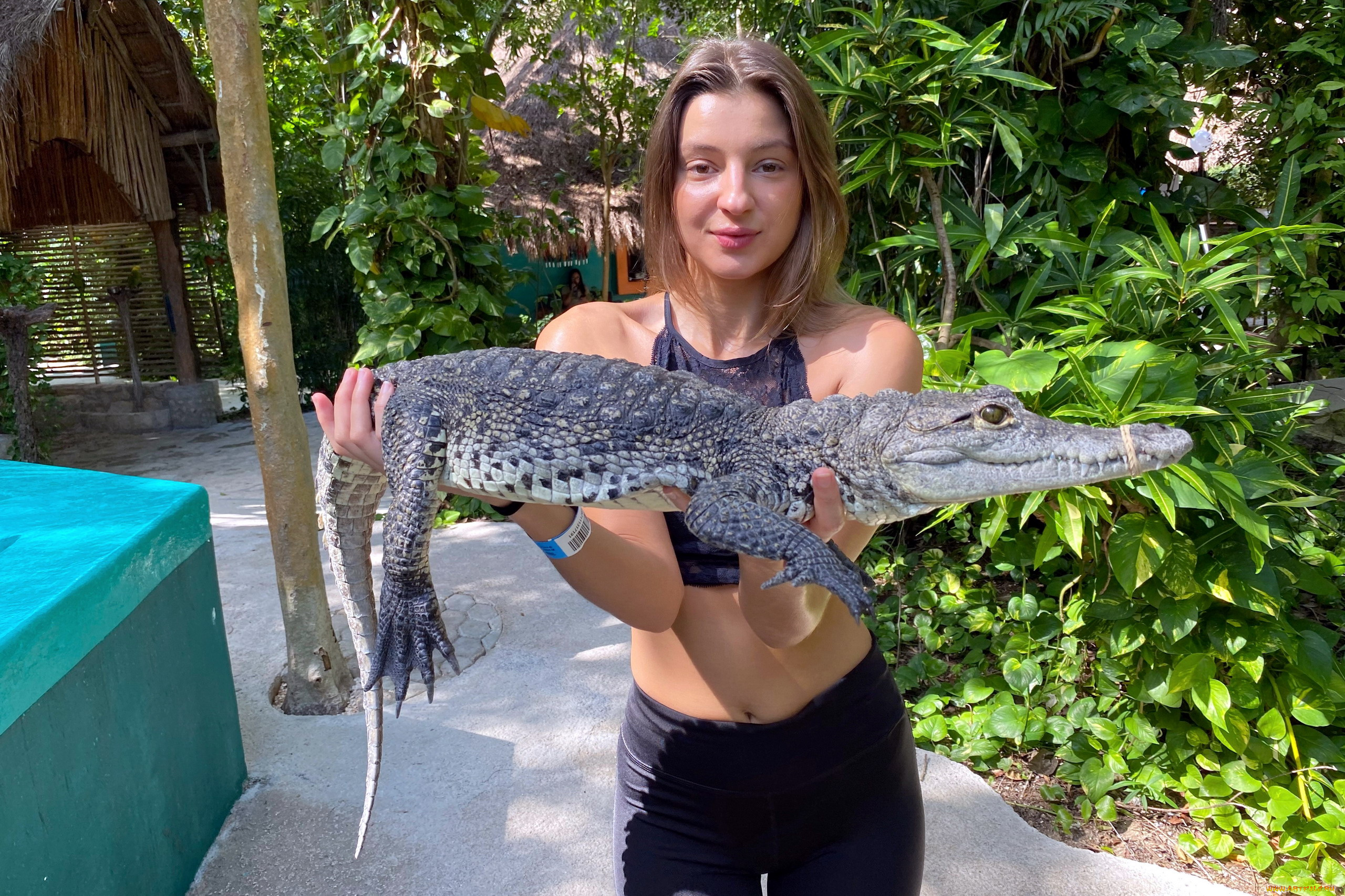 девушки, мария, рябушкина, кусты, девушка, крокодил