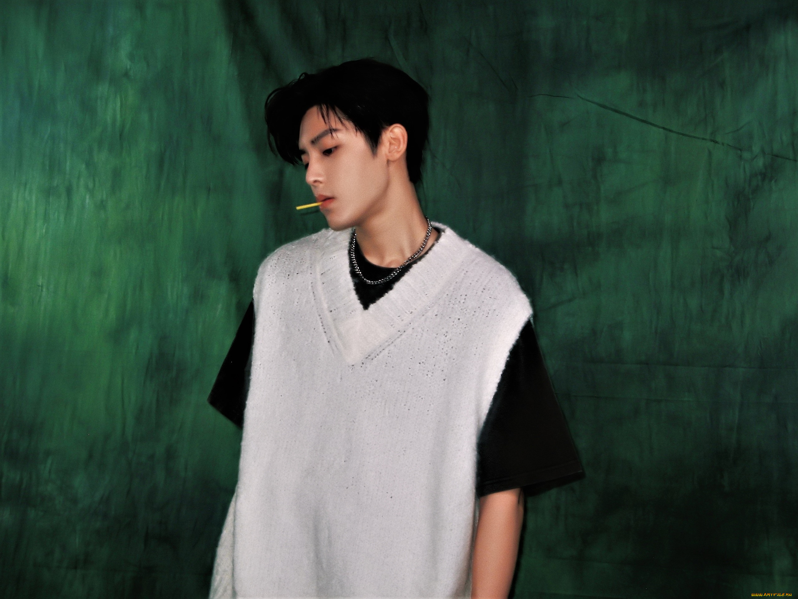 мужчины, hou, ming, hao, актер, футболка, жилетка