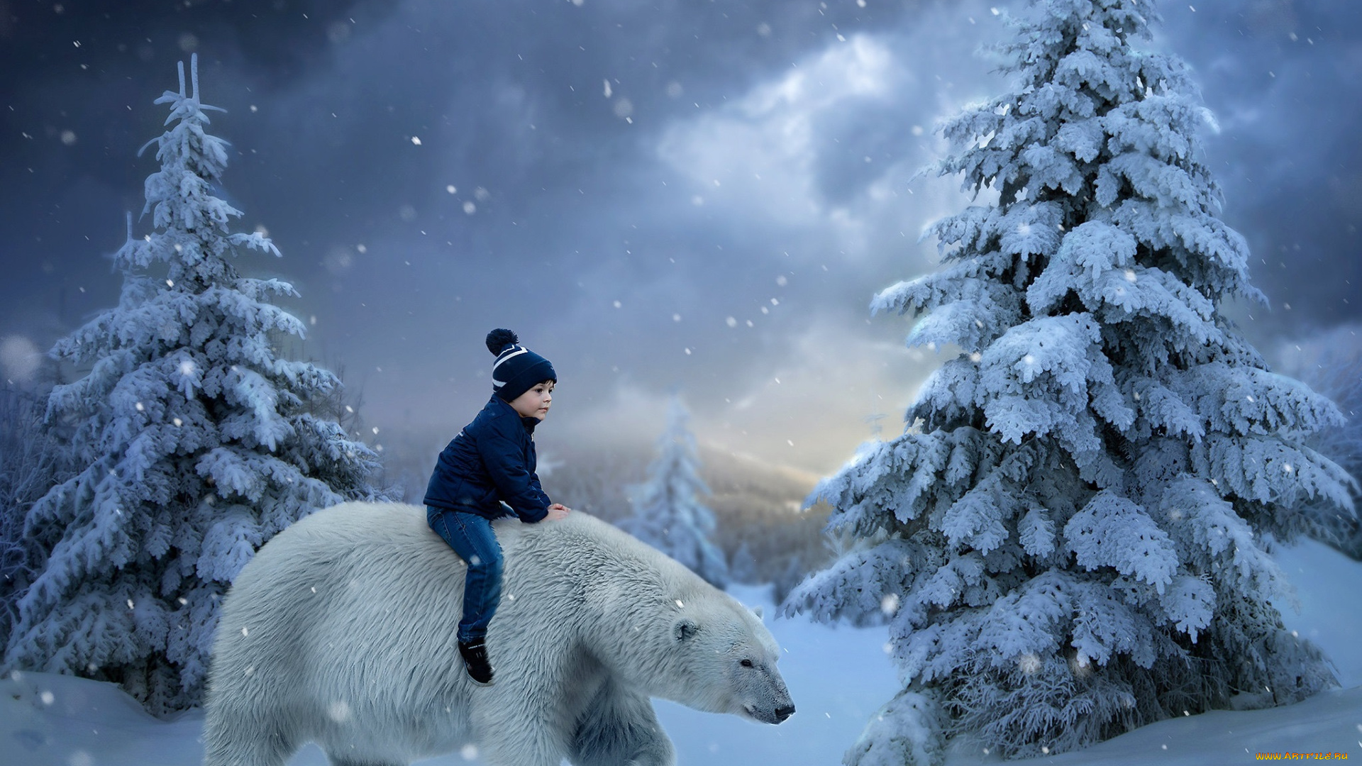 разное, дети, мальчик, зима, белый, медведь