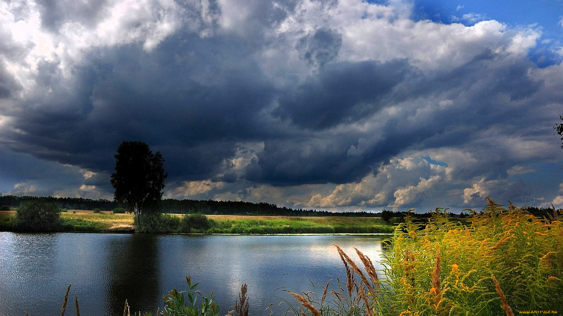 природа, реки, озера, небо, тучи, озеро, камыши, луг, деревья, лес