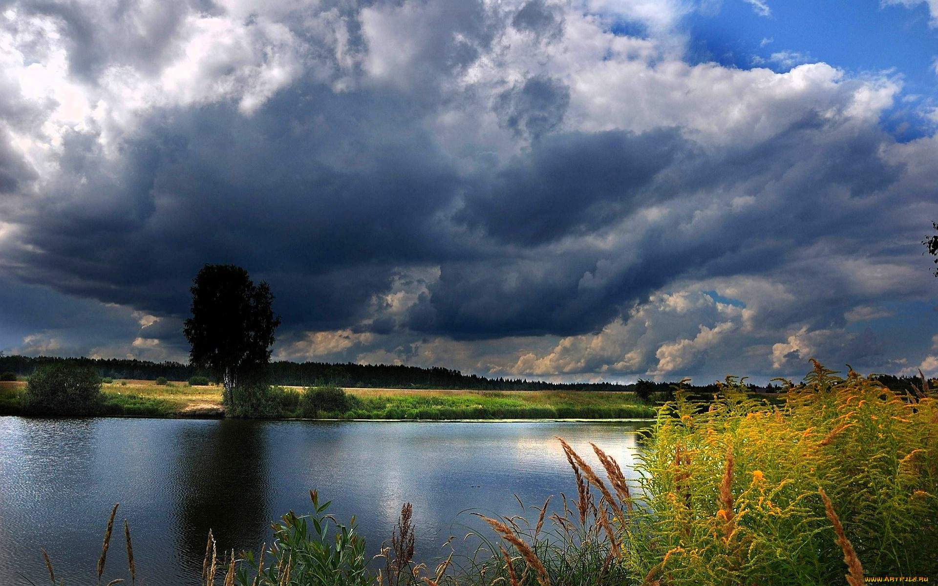 природа, реки, озера, небо, тучи, озеро, камыши, луг, деревья, лес