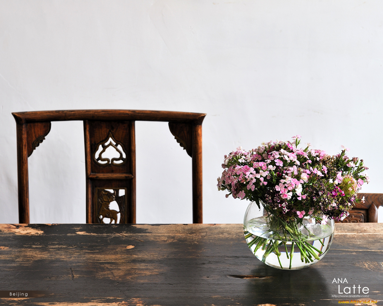 цветы, гвоздики