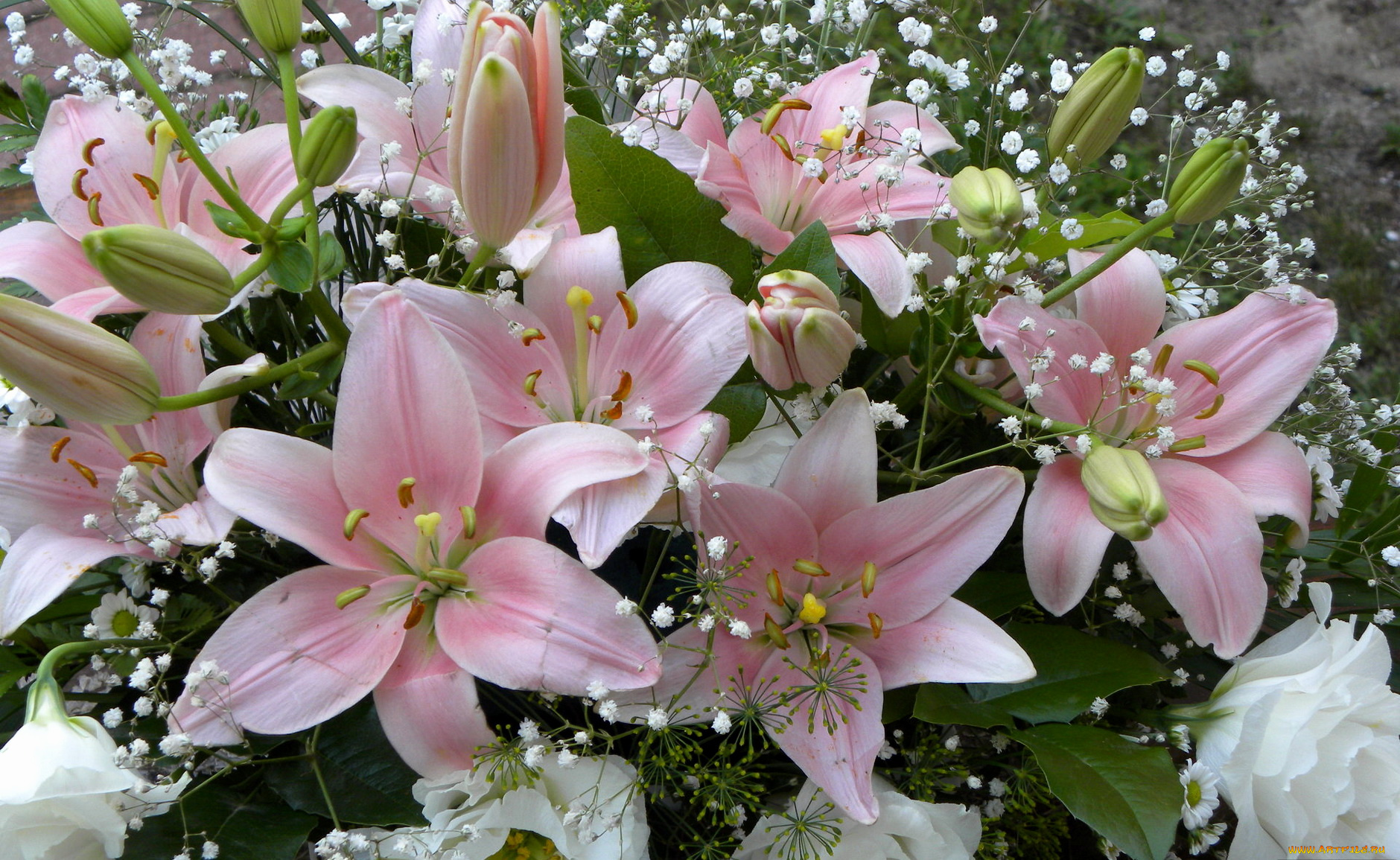 цветы, лилии, лилейники, розовые, букет