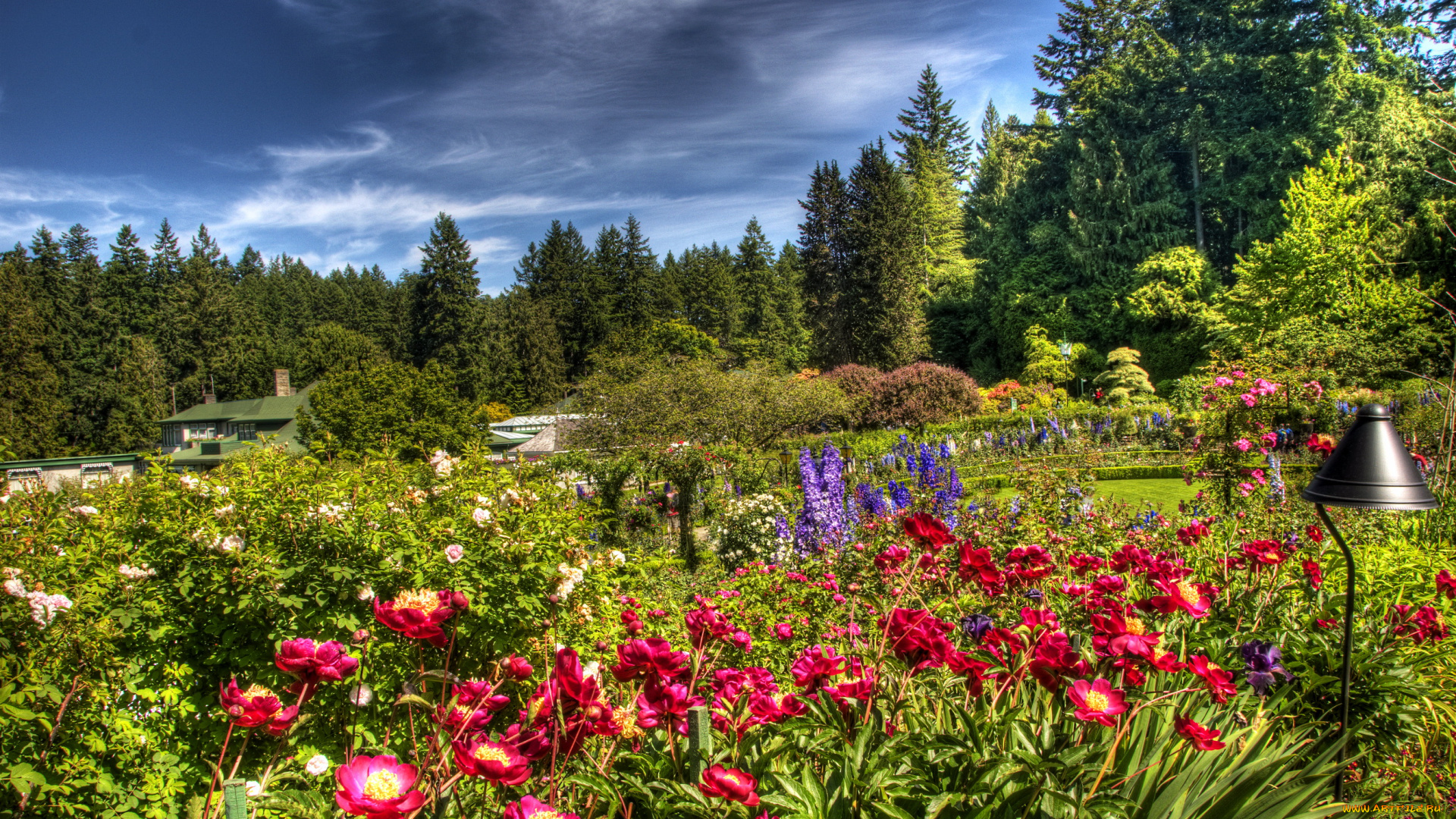 butchart, gardens, victoria, канада, природа, парк, цветы, деревья, клумбы