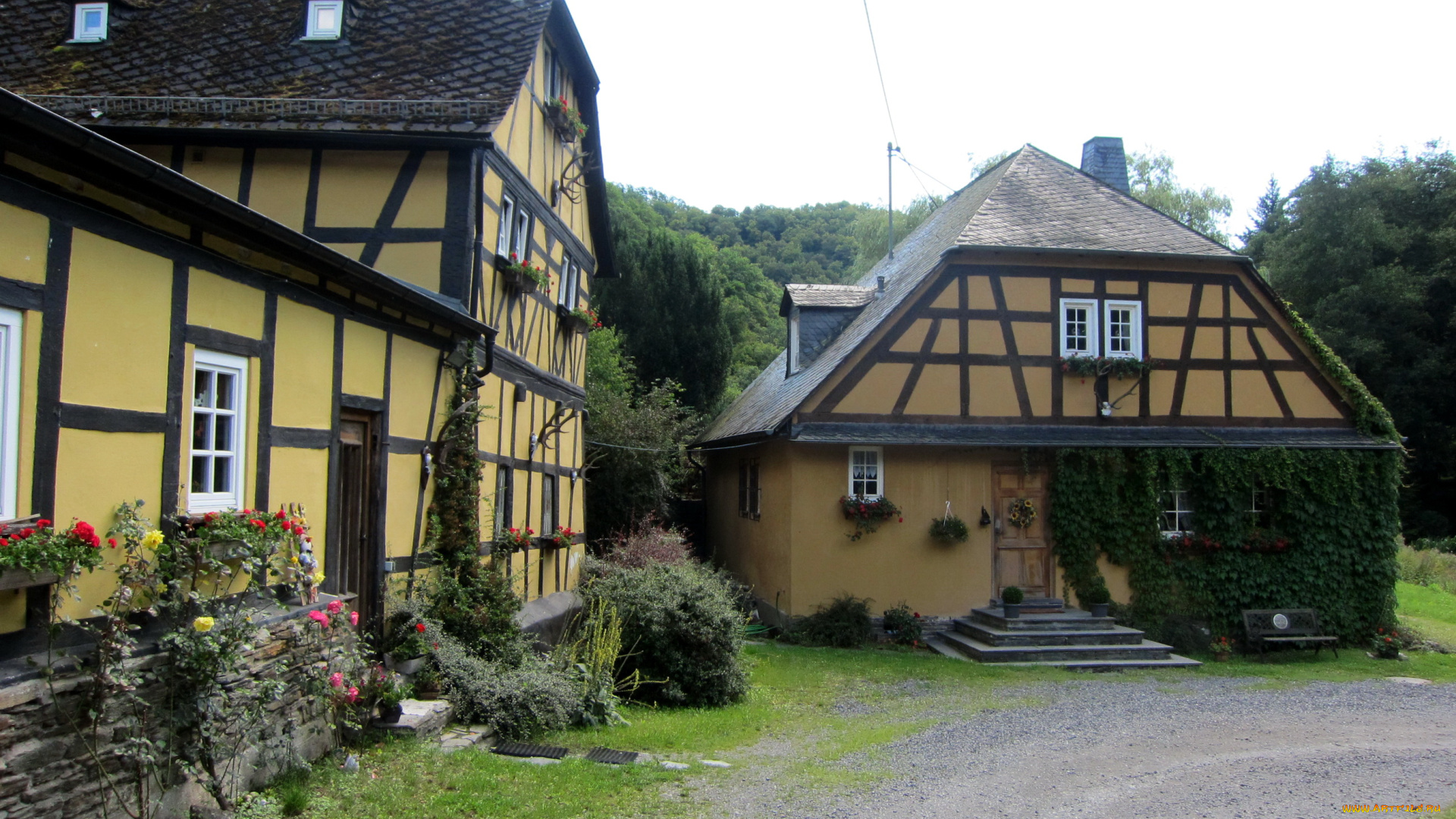 германия, гессен, лорх, города, здания, дома, цветы, лес