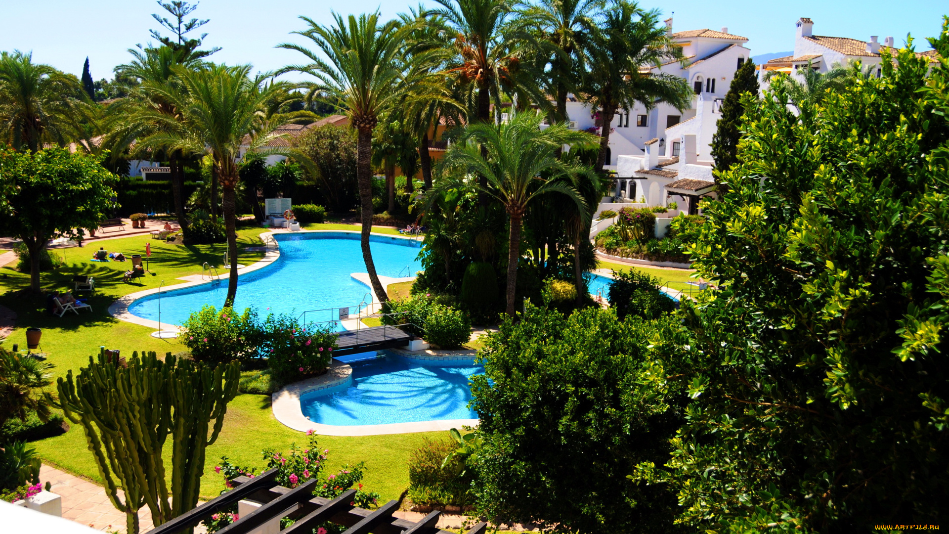 испания, андалусия, марбелья, интерьер, бассейны, открытые, площадки, дома, пальмы, отдых, ьассейн