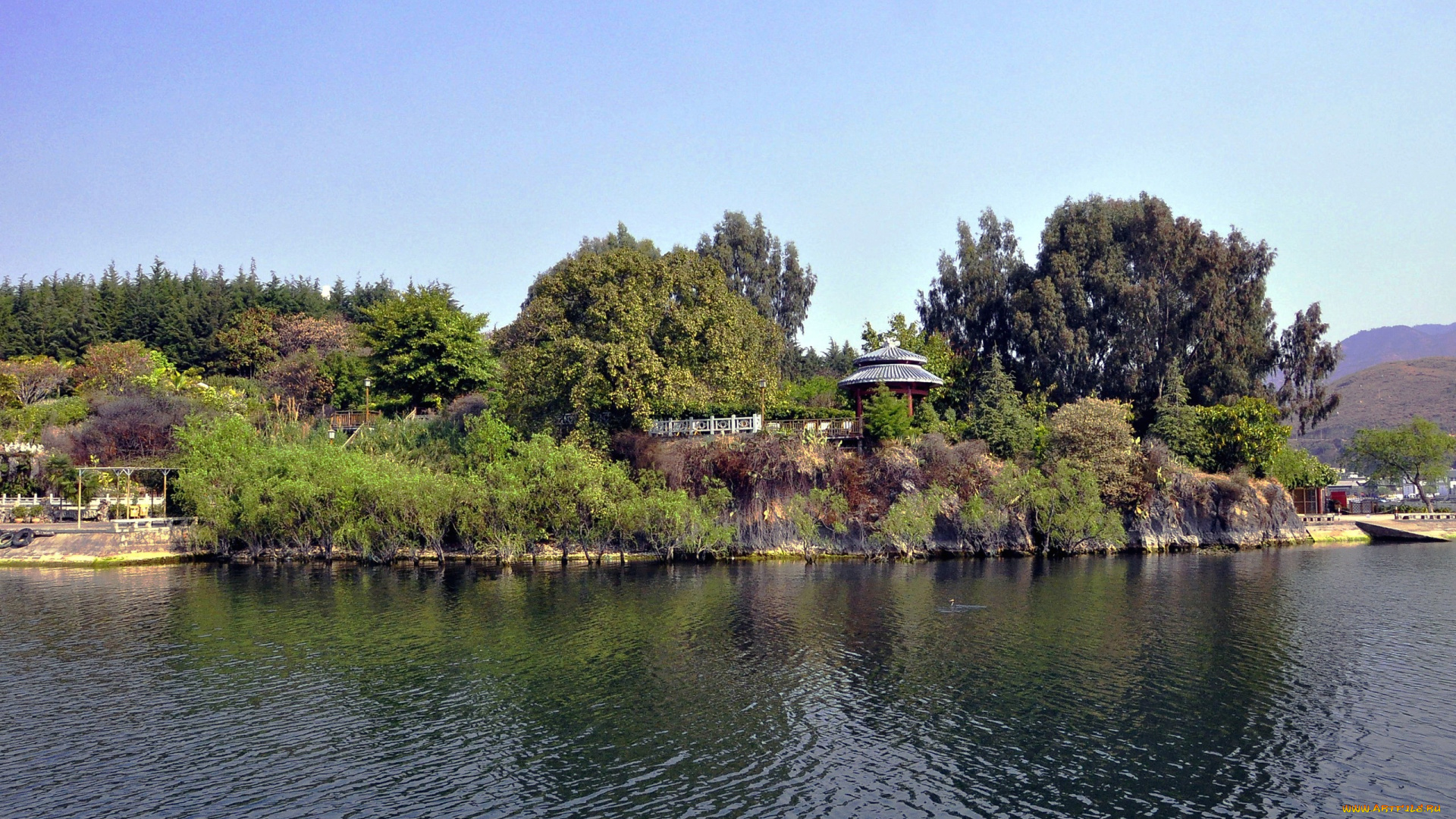 природа, реки, озера, река, заросший, берег, деревья, кустарник, беседка