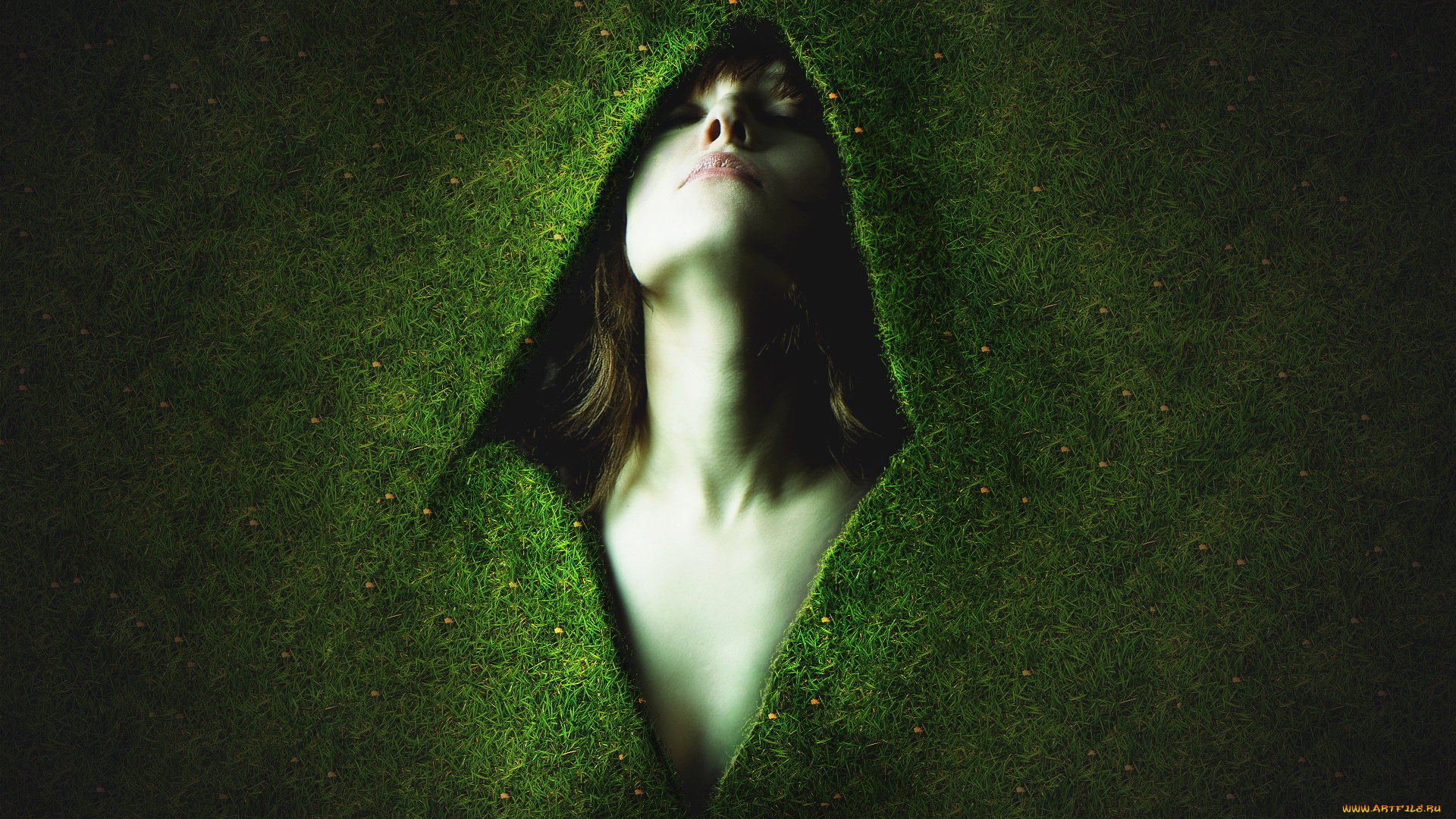 разное, компьютерный, дизайн, графика