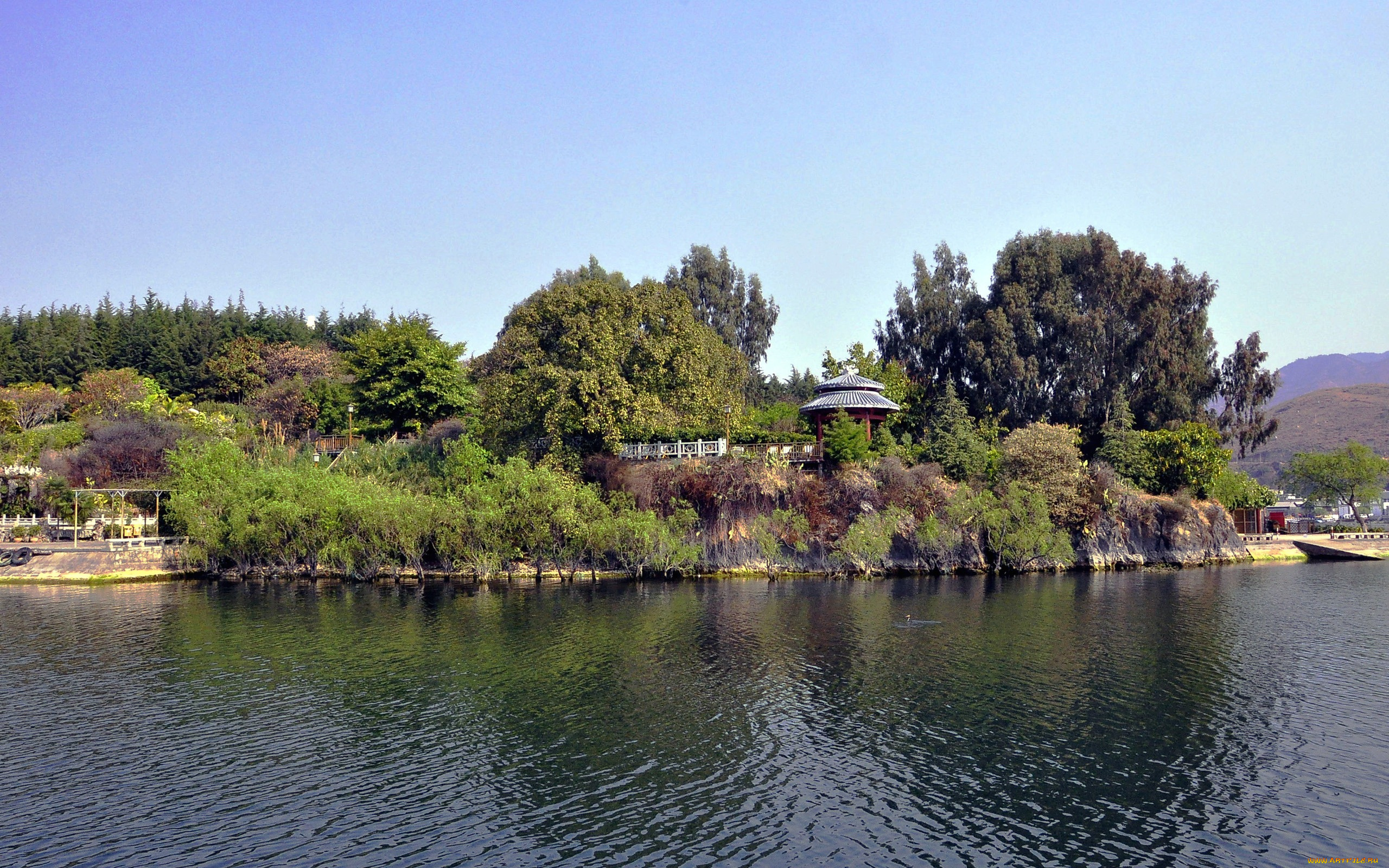 природа, реки, озера, река, заросший, берег, деревья, кустарник, беседка