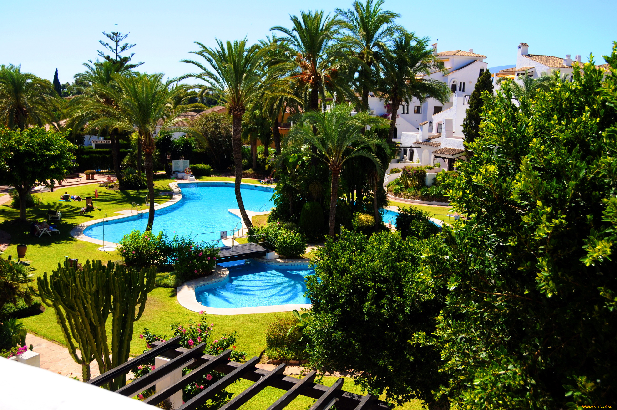 испания, андалусия, марбелья, интерьер, бассейны, открытые, площадки, дома, пальмы, отдых, ьассейн