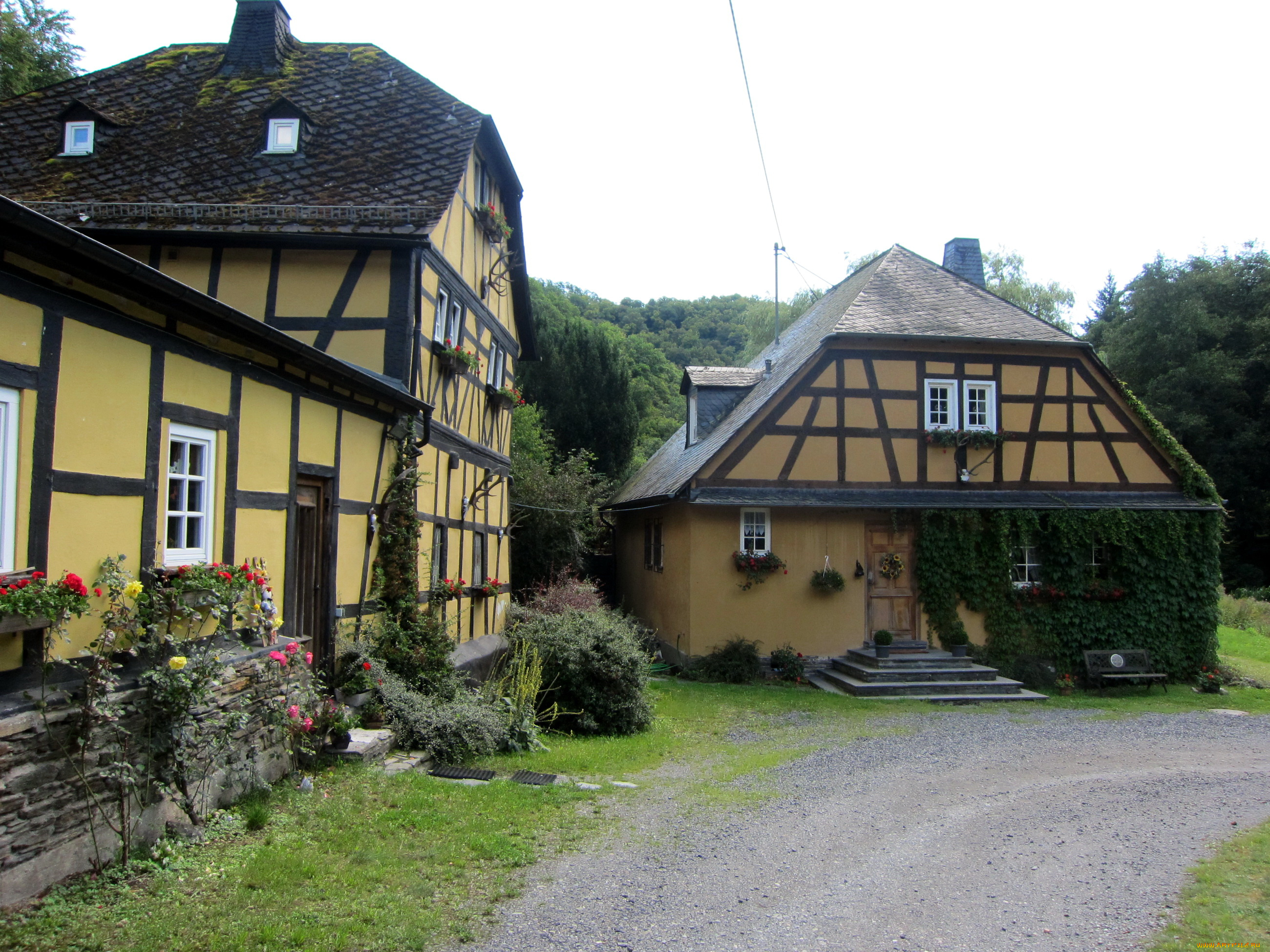 германия, гессен, лорх, города, здания, дома, цветы, лес