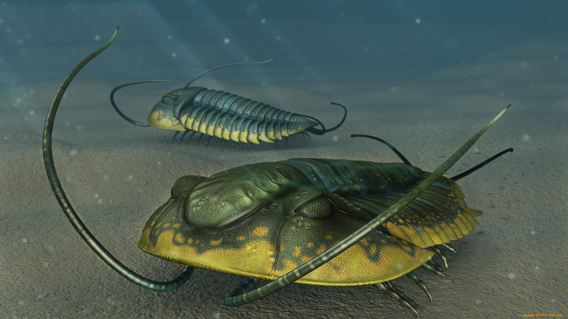 3д, графика, animals, животные, море, дно