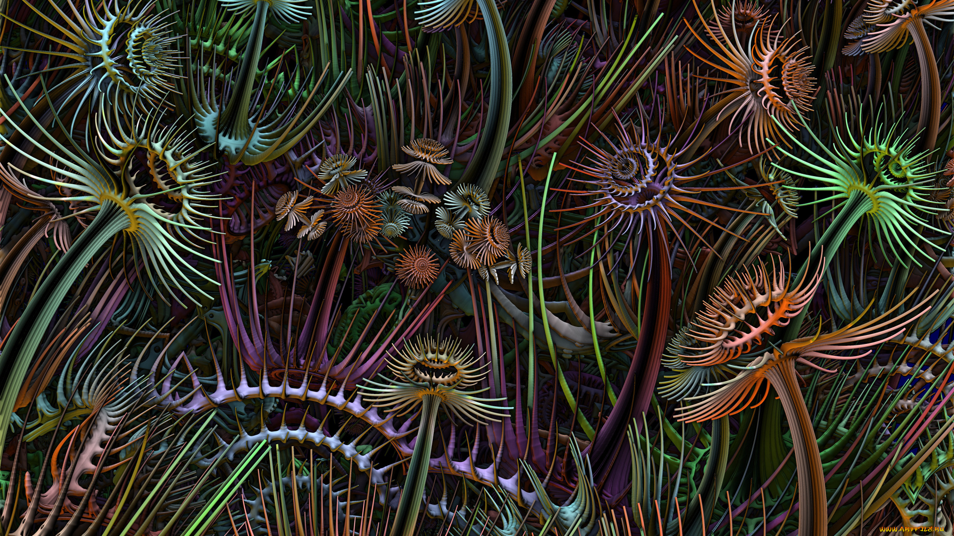 3д, графика, fractal, фракталы, фон, цвет, узор