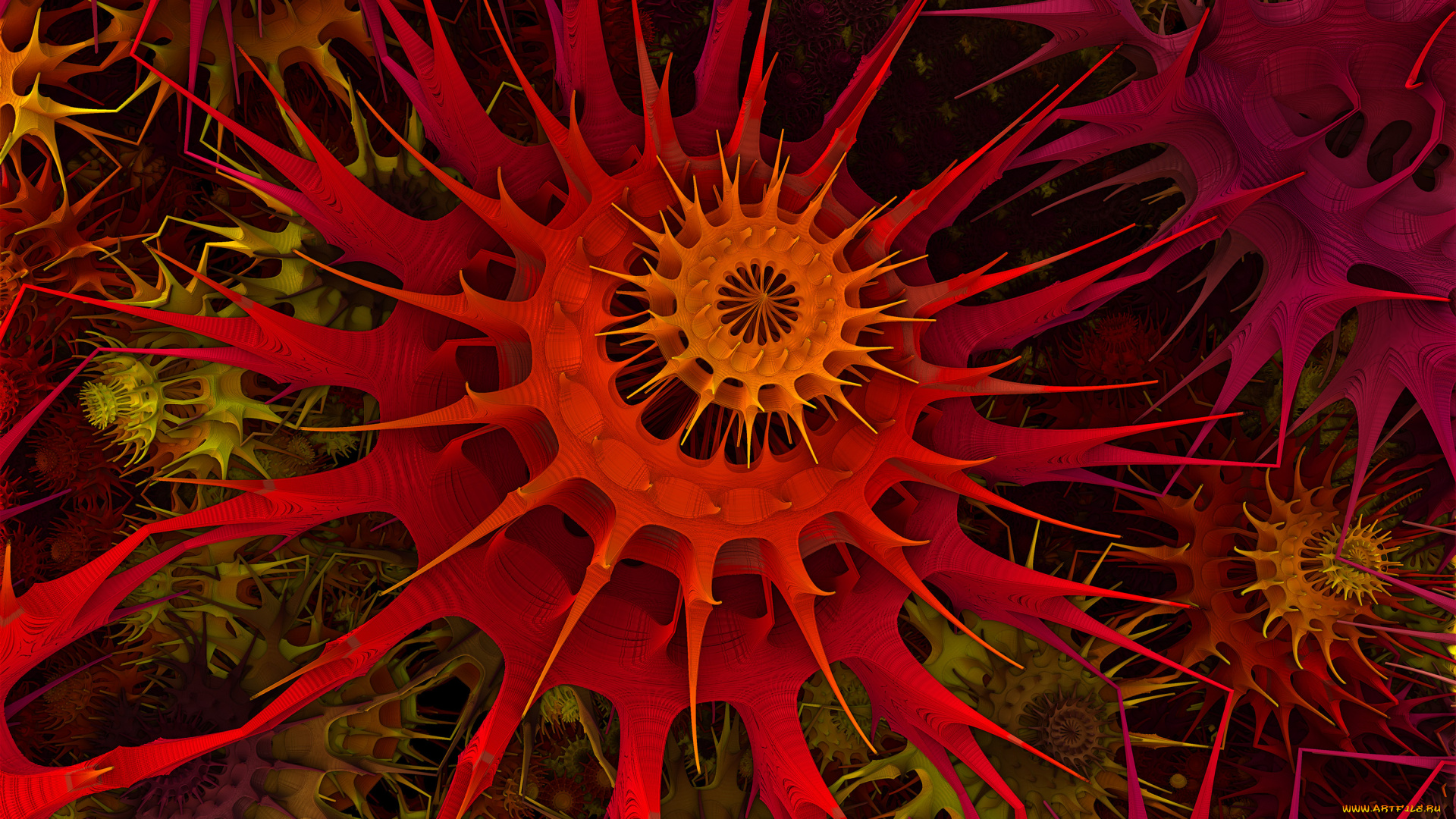 3д, графика, fractal, фракталы, фон, узор, цвет