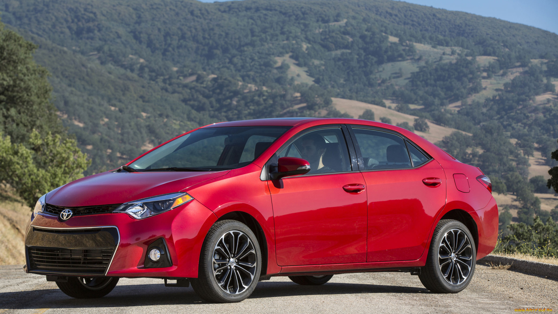 автомобили, toyota, corolla, sedan