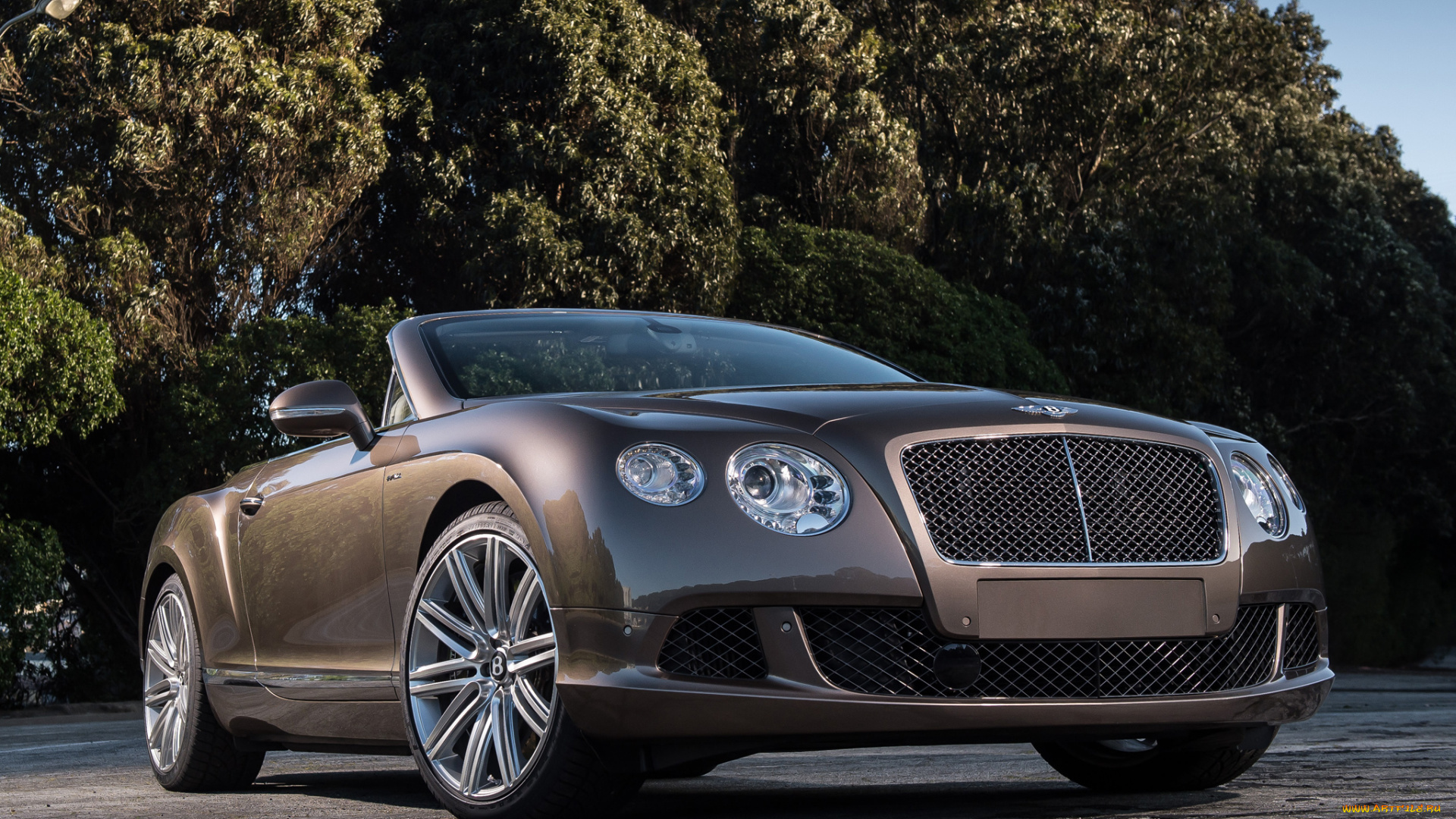 bentley, continental, gt, speed, автомобили, великобритания, премиум-класс, motors, элитные