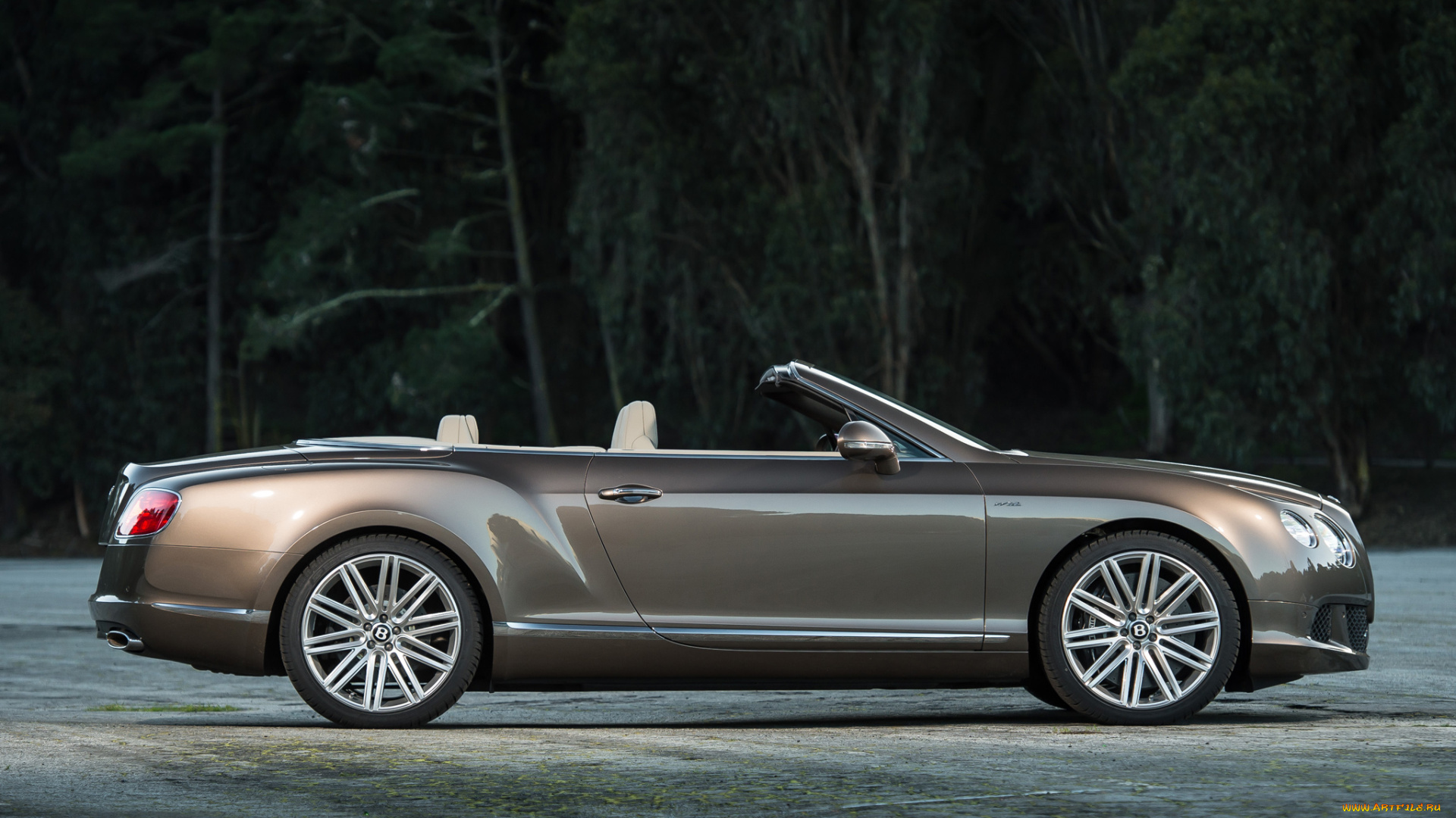 bentley, continental, gt, speed, автомобили, элитные, премиум-класс, великобритания, motors